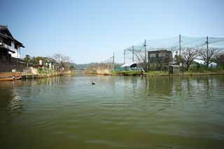 Foto, materiell, befreit, Landschaft, Bild, hat Foto auf Lager,Matsue-jo Burgwassergraben, Das Besichtigen von Schiff, Schiff, Wassergraben, Ente