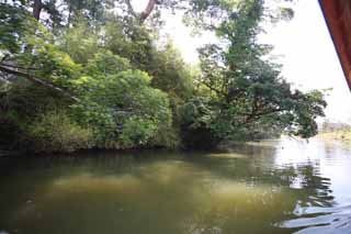 photo, la matire, libre, amnage, dcrivez, photo de la rserve,Matsue-jo foss de Chteau, Visiter des sites pittoresques bateau, bateau, foss, arbre