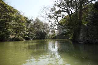 photo, la matire, libre, amnage, dcrivez, photo de la rserve,Matsue-jo foss de Chteau, Visiter des sites pittoresques bateau, bateau, foss, arbre