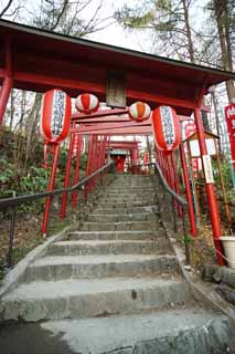 fotografia, material, livra, ajardine, imagine, proveja fotografia,Fonte termal de Kusatsu Anamoriinari Xintosmo santurio, torii, lanterna, Kusatsu, santurio pequeno