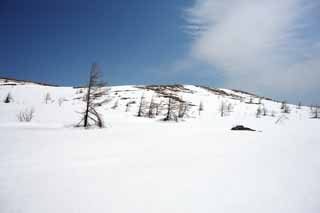 , , , , ,  .,Kusatsu Mt. Shirane snowy , ,  ,  ,  