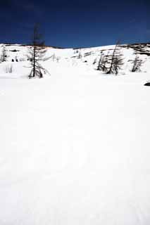 photo, la matire, libre, amnage, dcrivez, photo de la rserve,Kusatsu Mt. Shirane champ neigeux, arbre, ciel bleu, haute montagne, Forme d'un arbre