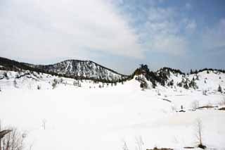 fotografia, materiale, libero il panorama, dipinga, fotografia di scorta,Kusatsu Mt. Shirane campo nevoso, albero, cielo blu, montagna alta, Forma di un albero