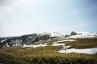 fotografia, materiale, libero il panorama, dipinga, fotografia di scorta,Kusatsu Mt. Shirane campo nevoso, albero, cielo blu, montagna alta, Forma di un albero