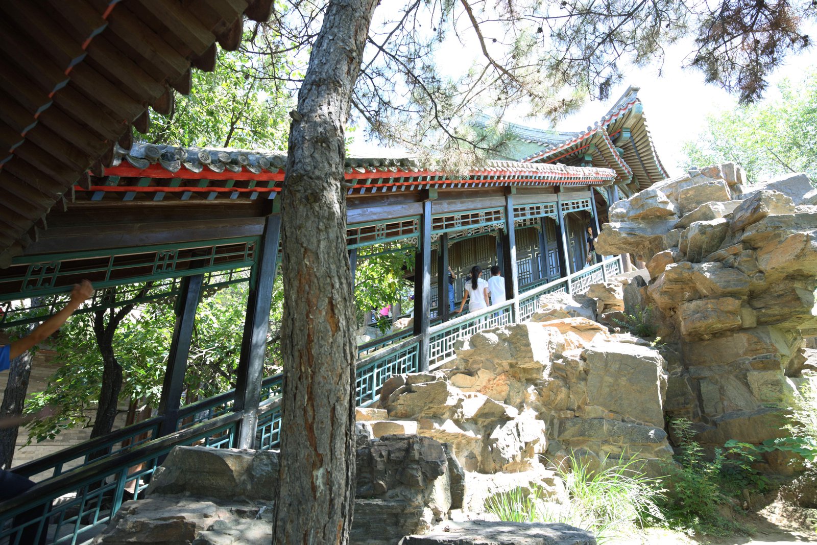 �ʐ^,�f��,����,�t���[,�t�H�g,�N���G�C�e�B�u�E�R�����Y,���i,�ǎ�,�����R���@���R���t, �Ί_, �ɍʐF, ���R��, ������