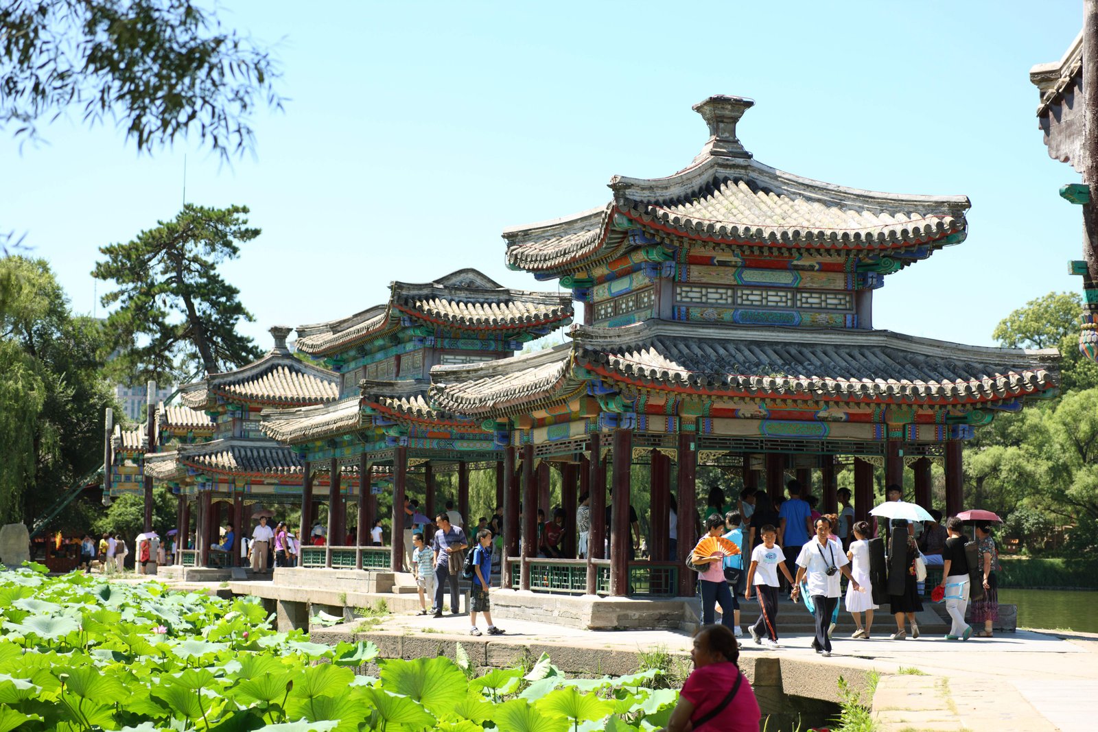 �ʐ^,�f��,����,�t���[,�t�H�g,�N���G�C�e�B�u�E�R�����Y,���i,�ǎ�,�����R���@���S?, �n�X, �ɍʐF, ��?, ������