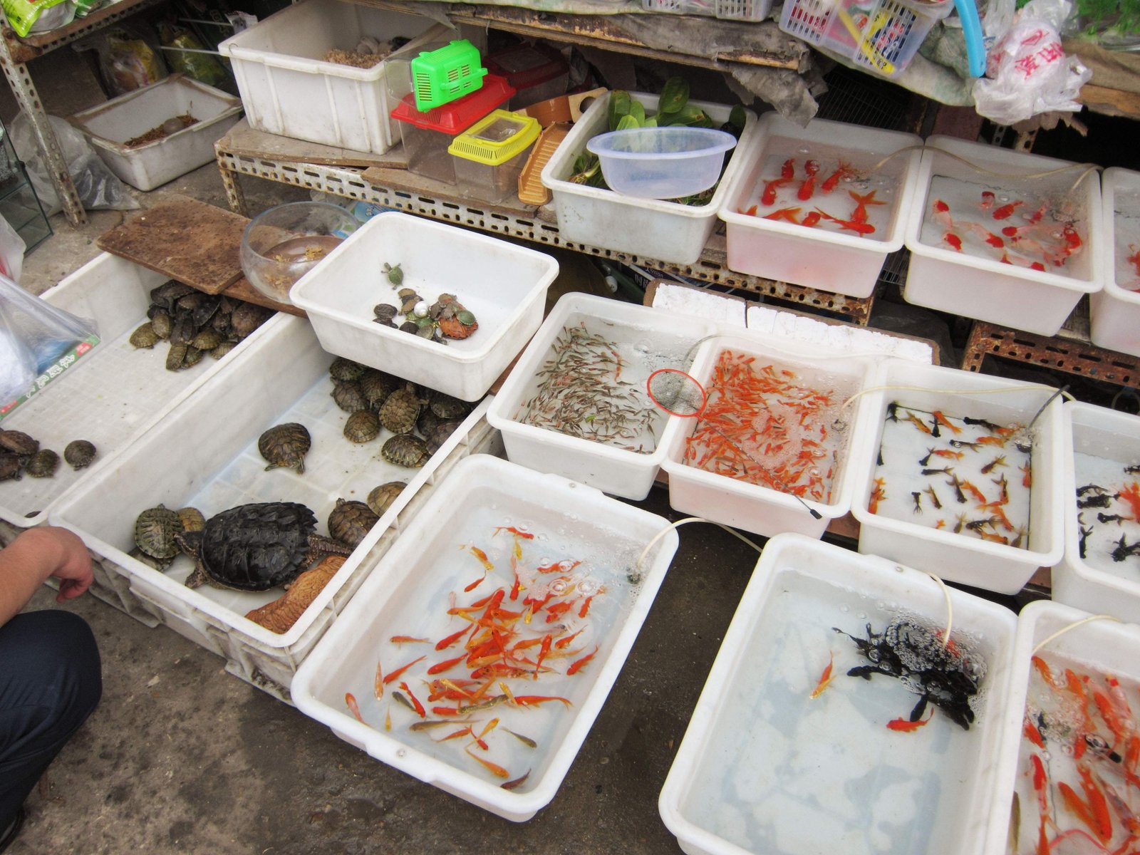 �ʐ^,�f��,����,�t���[,�t�H�g,�N���G�C�e�B�u�E�R�����Y,���i,�ǎ�,���x�s��, �X, �s��, ����, �T