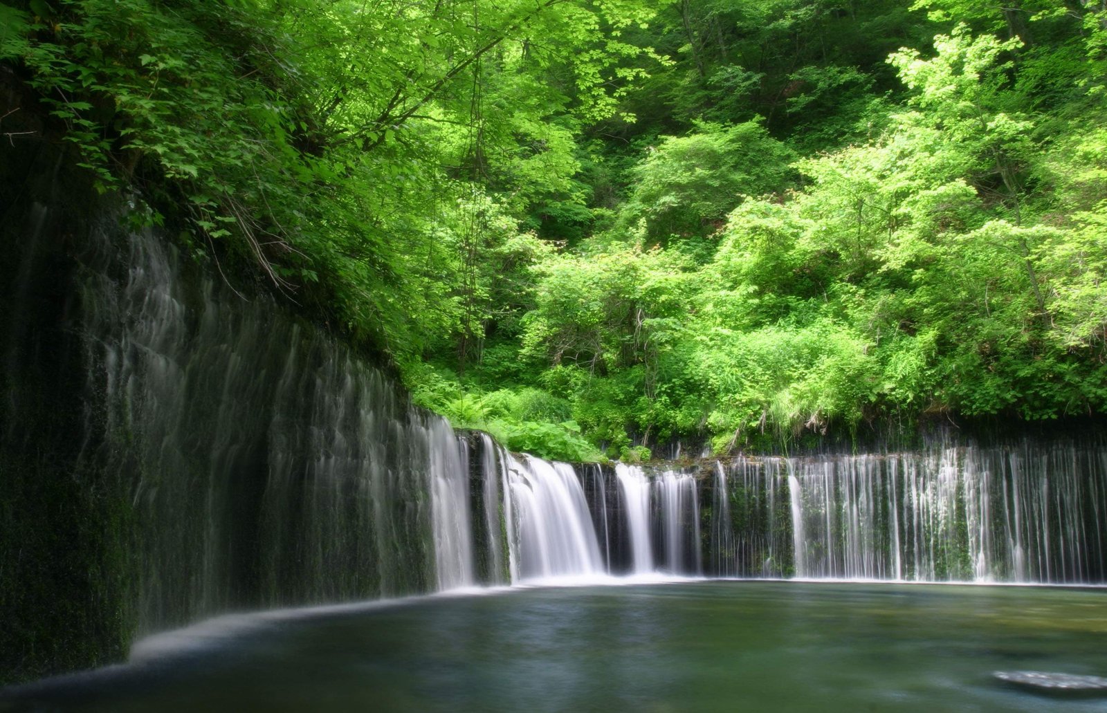 �ʐ^,�f��,����,�t���[,�t�H�g,�N���G�C�e�B�u�E�R�����Y,���i,�ǎ�,�����̑�, ��, ����, �V��, ��