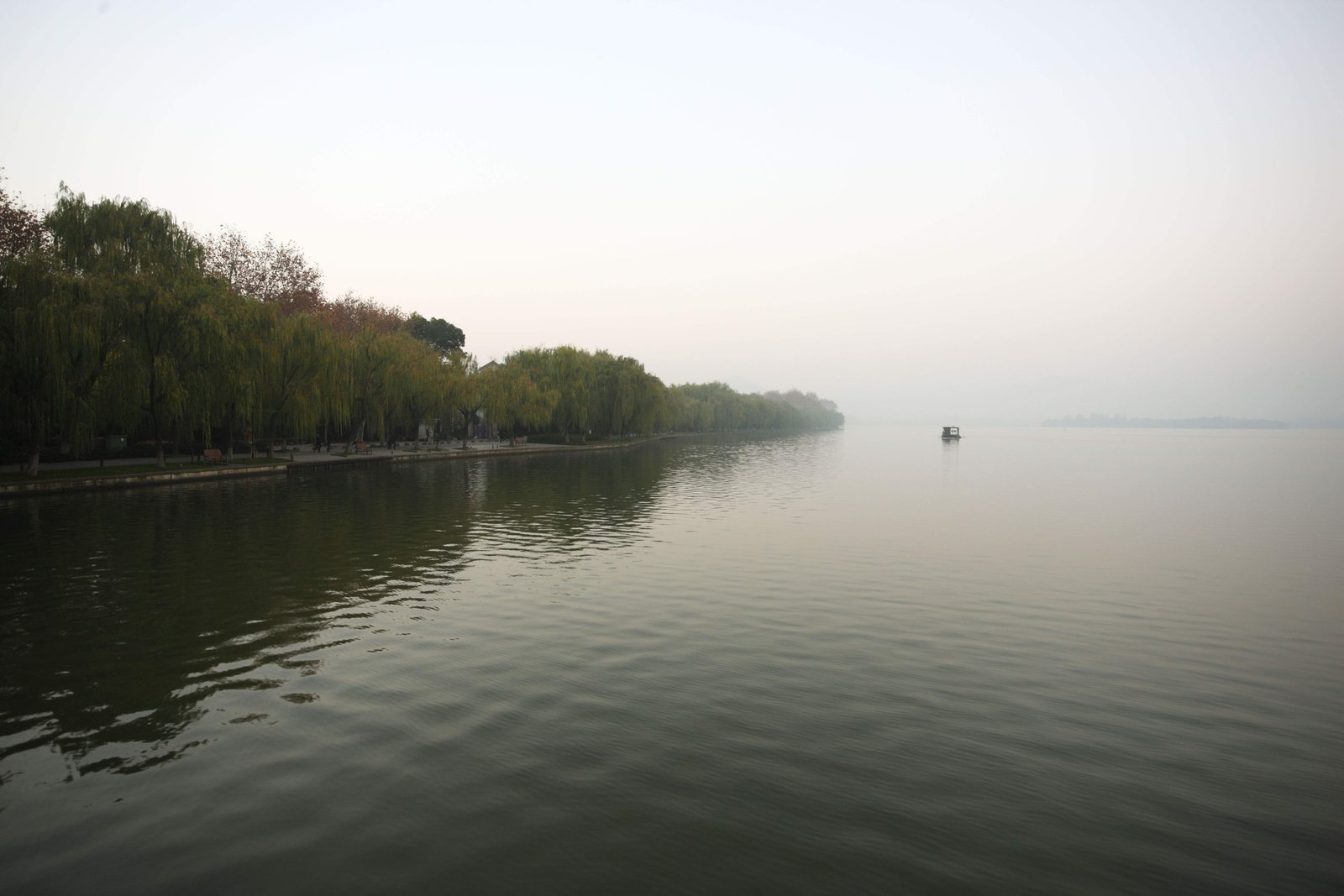 photo,material,free,landscape,picture,stock photo,Creative Commons,Xi-hu lake, surface of a lake, Saiko, willow,