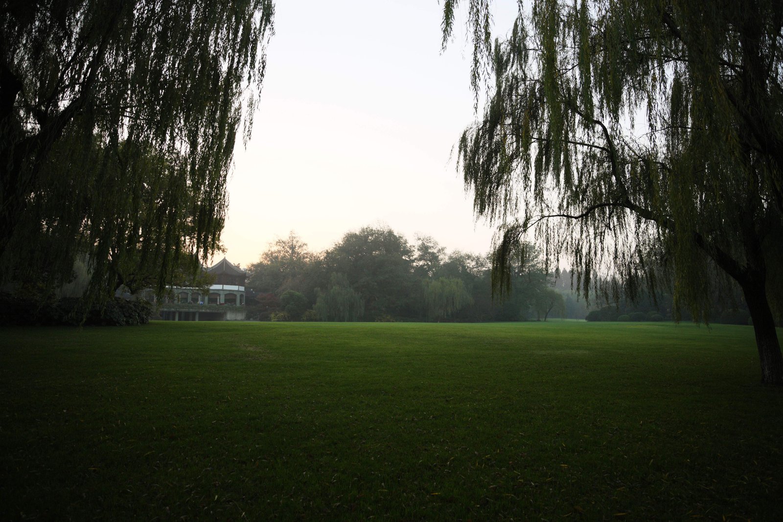 photo,material,free,landscape,picture,stock photo,Creative Commons,Xi-hu lake, lawn, Saiko, willow, 