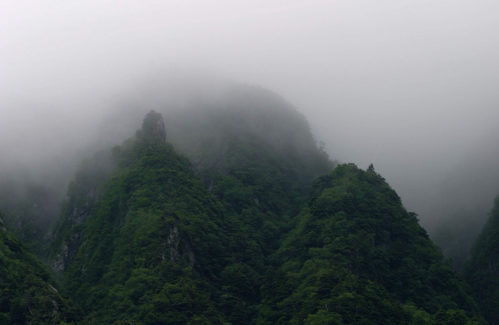 photo,material,free,landscape,picture,stock photo,Creative Commons,Mist in deep mountains, fog, mist, cloud, mountain