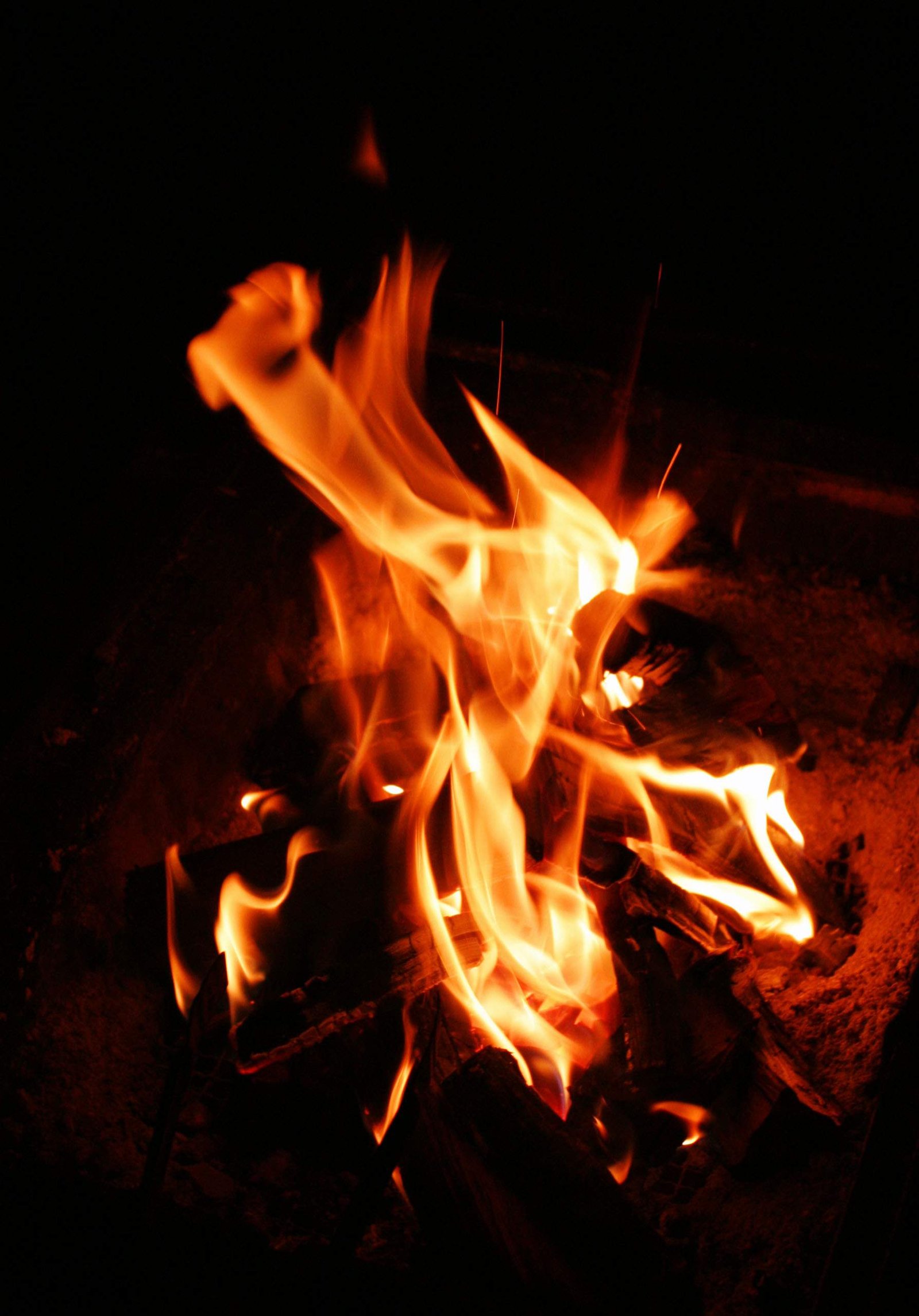 �ʐ^,�f��,����,�t���[,�t�H�g,�N���G�C�e�B�u�E�R�����Y,���i,�ǎ�,瞂鉊, ������, ��, �d, �R��