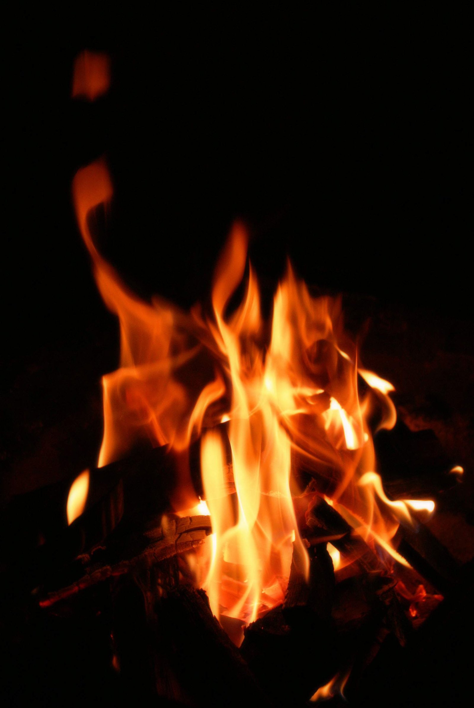 �ʐ^,�f��,����,�t���[,�t�H�g,�N���G�C�e�B�u�E�R�����Y,���i,�ǎ�,瞂鉊, ������, ��, �d, �R��