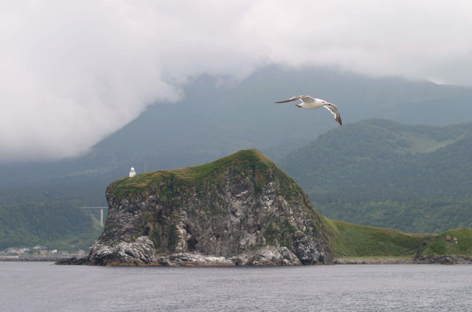 photo,material,free,landscape,picture,stock photo,Creative Commons,Island and a seagull, seagull, island, sea,