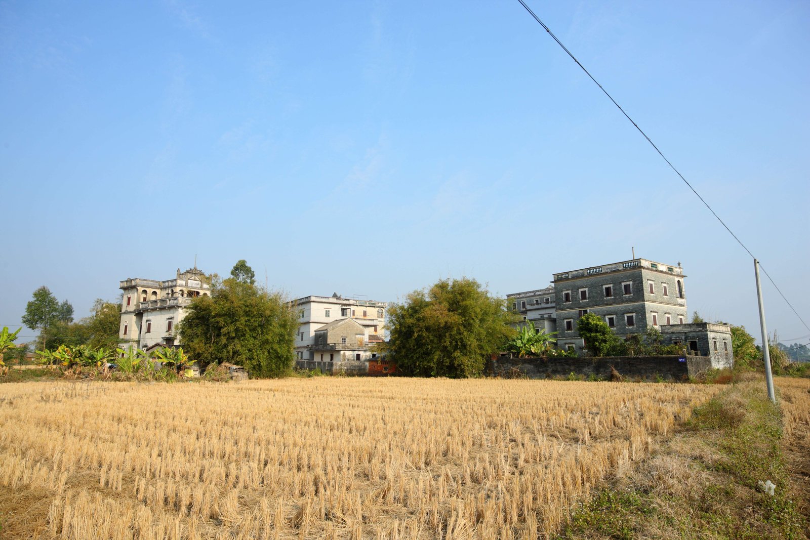 �ʐ^,�f��,����,�t���[,�t�H�g,�N���G�C�e�B�u�E�R�����Y,���i,�ǎ�,���͑�, �p��, ����, [�Ύ�]�O, �m��