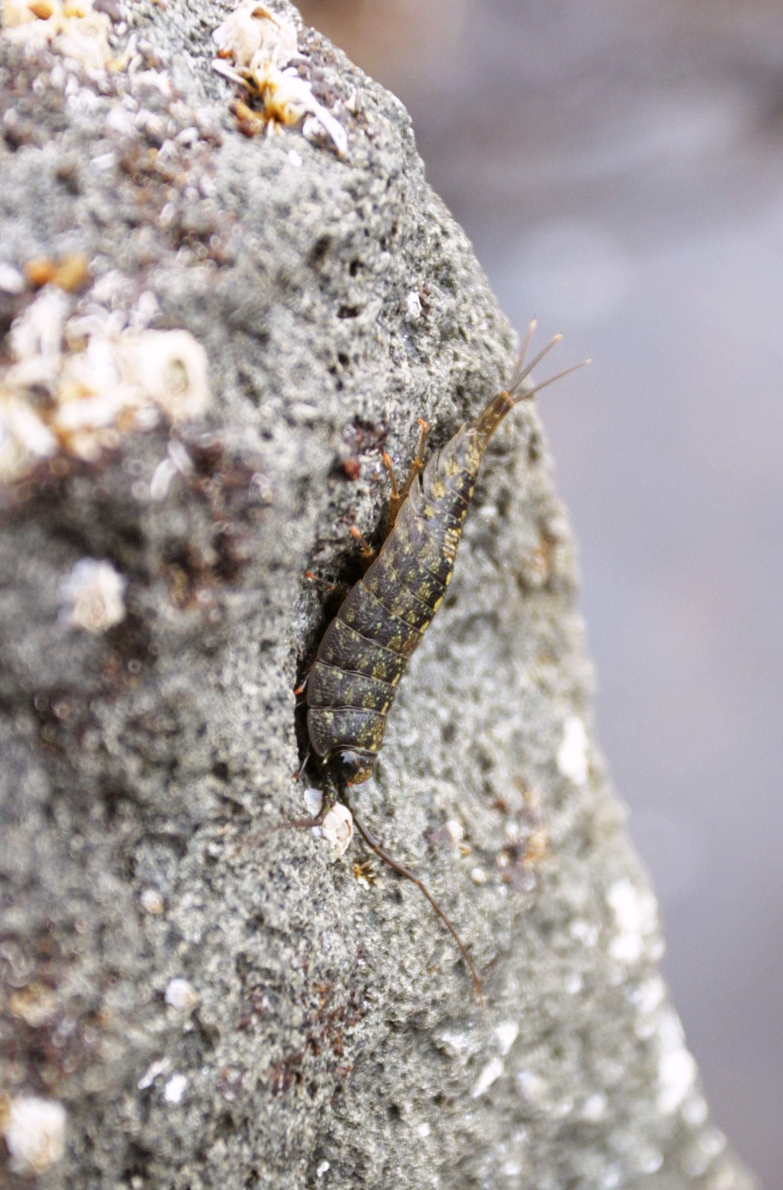 �ʐ^,�f��,����,�t���[,�t�H�g,�N���G�C�e�B�u�E�R�����Y,���i,�ǎ�,�t�i���V, �t�i���V, �C��, ��, �t�i��