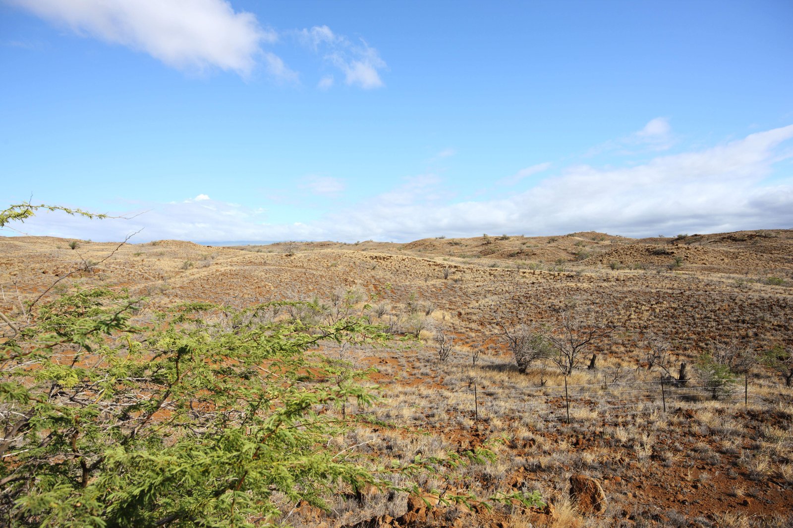 photo,material,free,landscape,picture,stock photo,Creative Commons,The earth of the lava, Green, Brown, Lava, blue sky