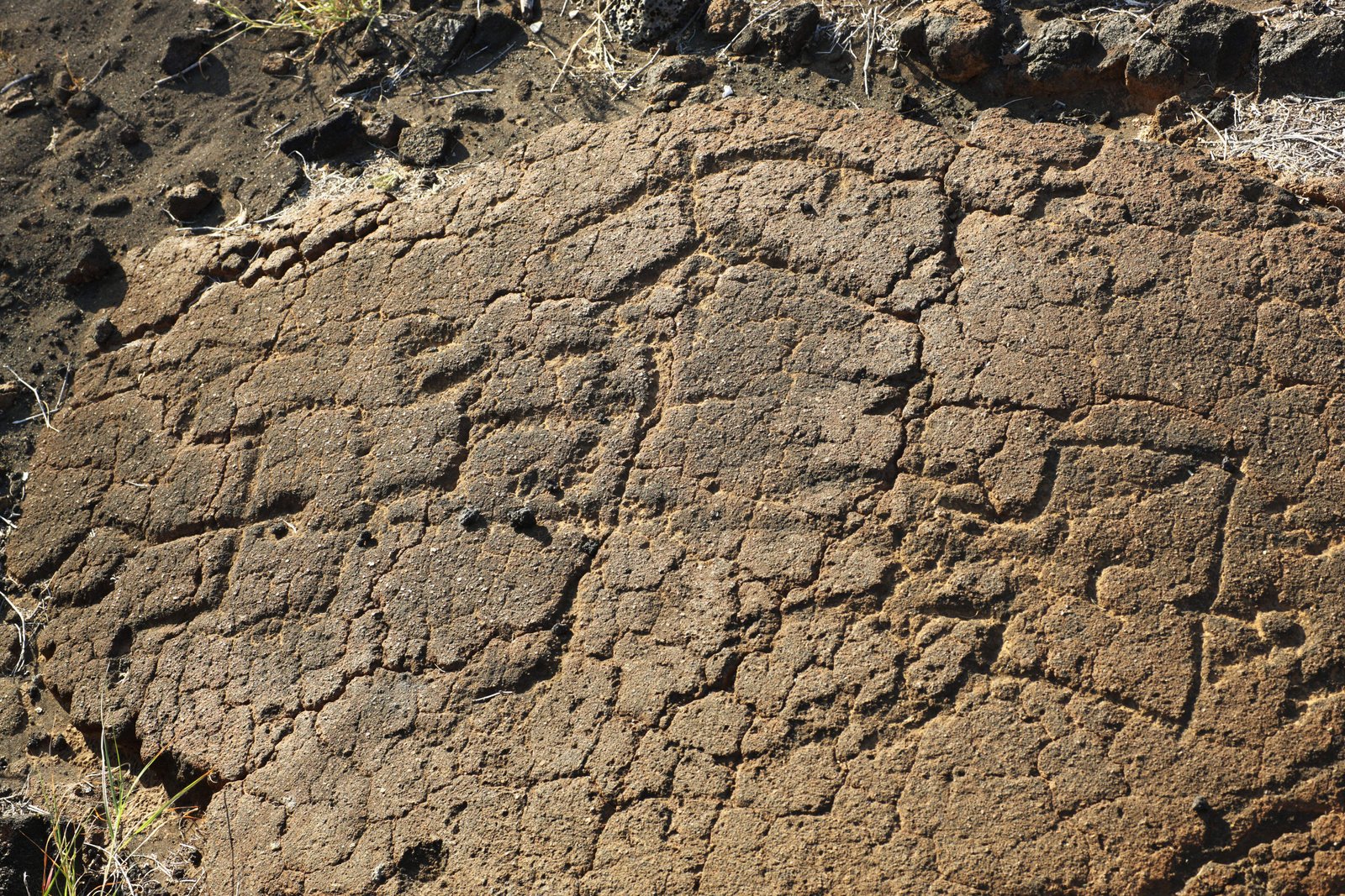 photo,material,free,landscape,picture,stock photo,Creative Commons,Puako Petroglyph, Lava, Lock art, Petroglyph, kaha-kii