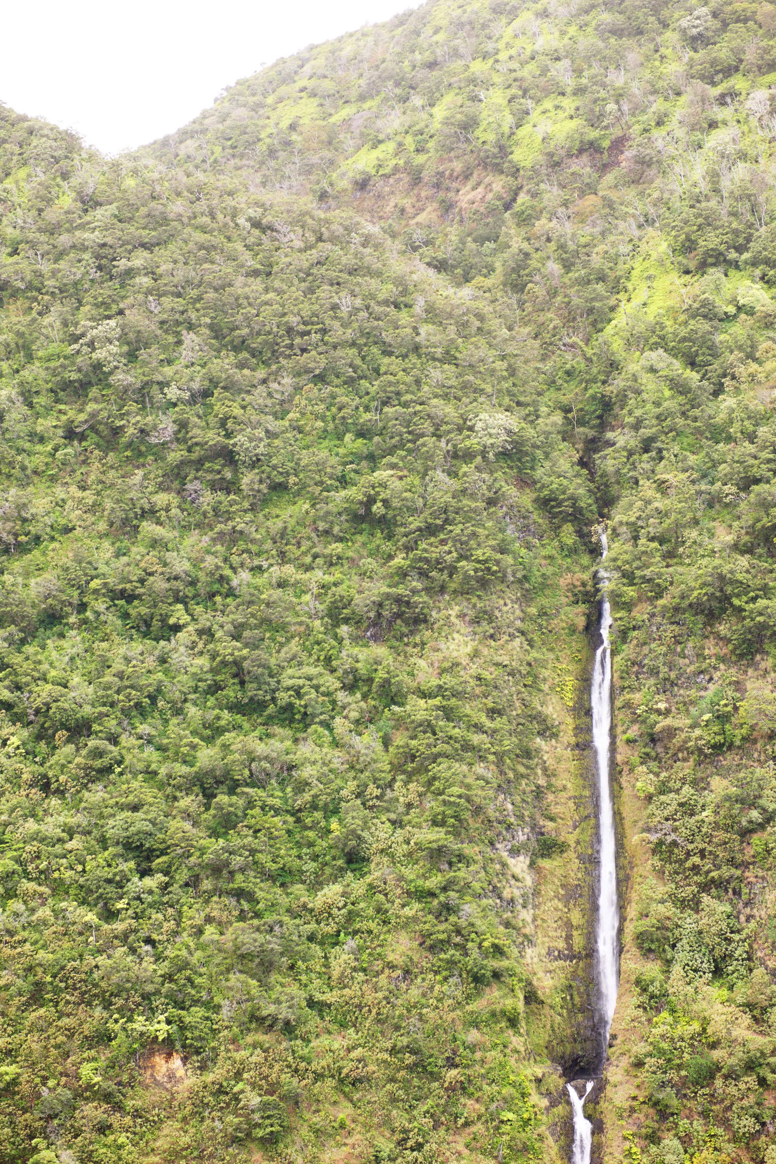 photo,material,free,landscape,picture,stock photo,Creative Commons,Hawaii Island Waimanu Valley, , , , 