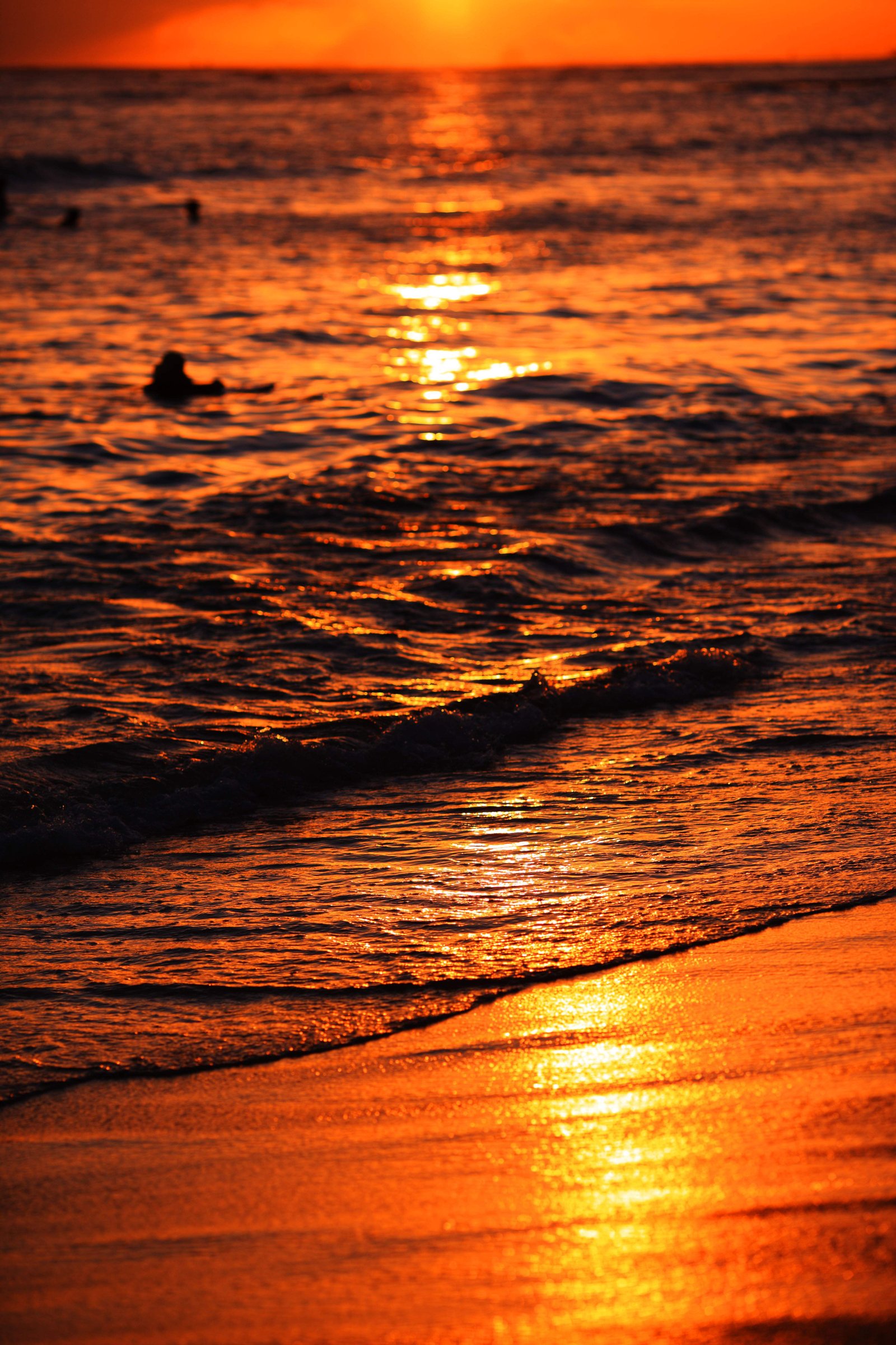 photo,material,free,landscape,picture,stock photo,Creative Commons,Waikiki Beach, , , , 