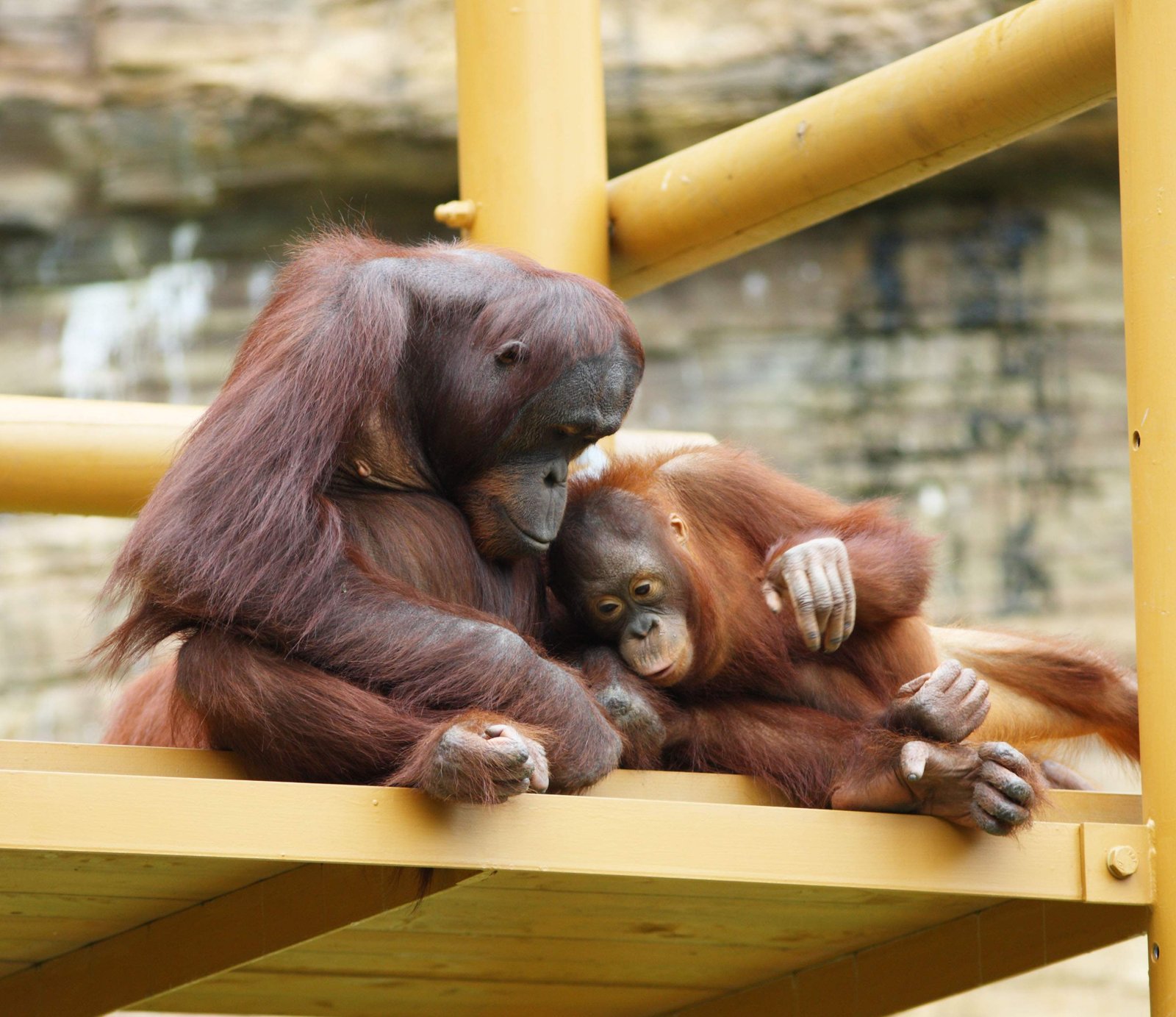 �ʐ^,�f��,����,�t���[,�t�H�g,�N���G�C�e�B�u�E�R�����Y,���i,�ǎ�,�I�����E�[�^��, ��, , , 