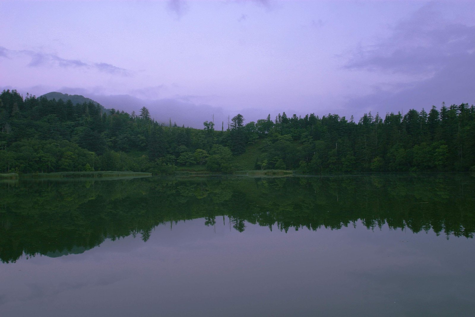 photo,material,free,landscape,picture,stock photo,Creative Commons,Morning Himenuma Pond, water surface, tree, sky, HimenumPond