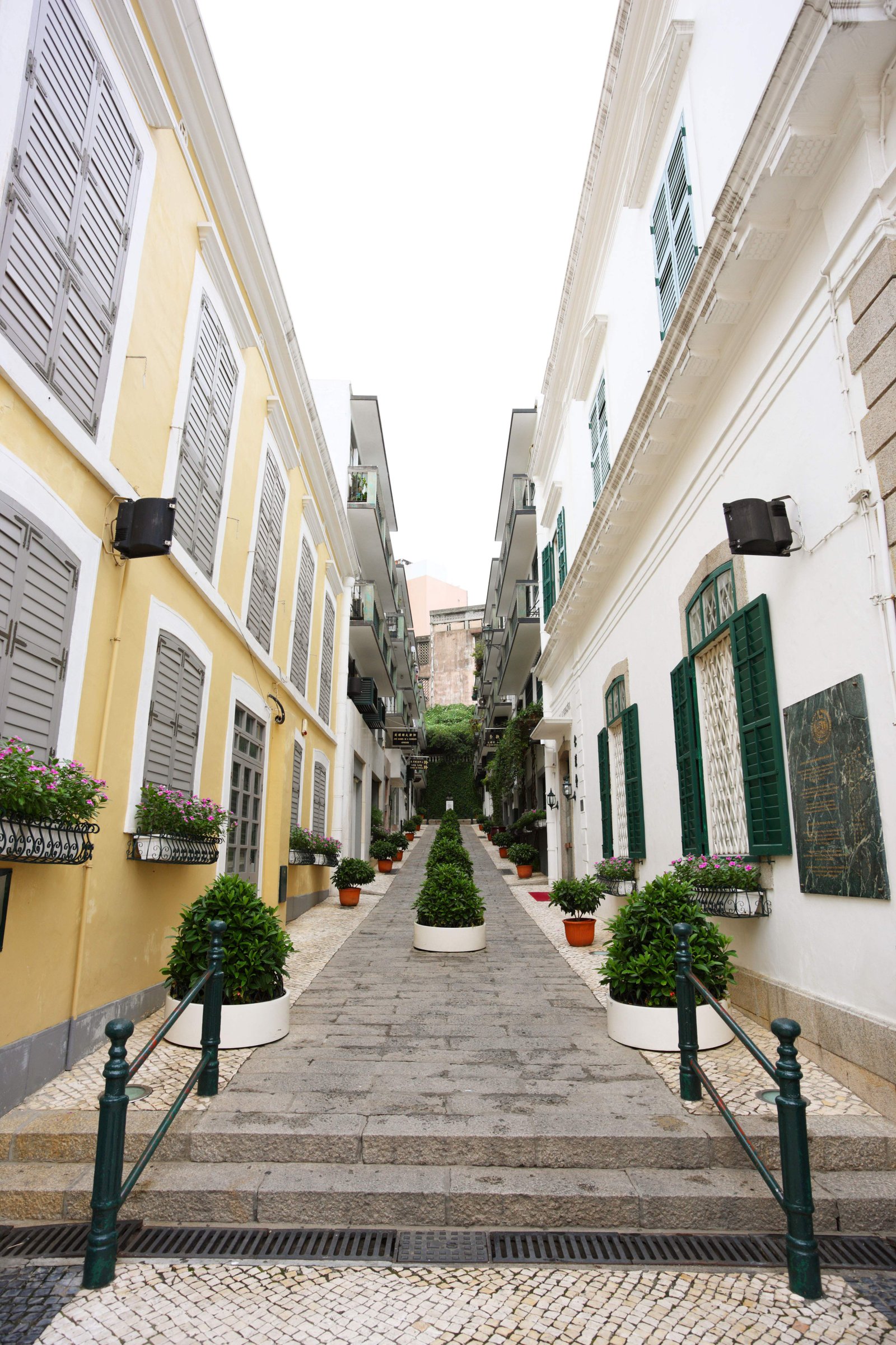 photo,material,free,landscape,picture,stock photo,Creative Commons,Macau skyline, , , ,