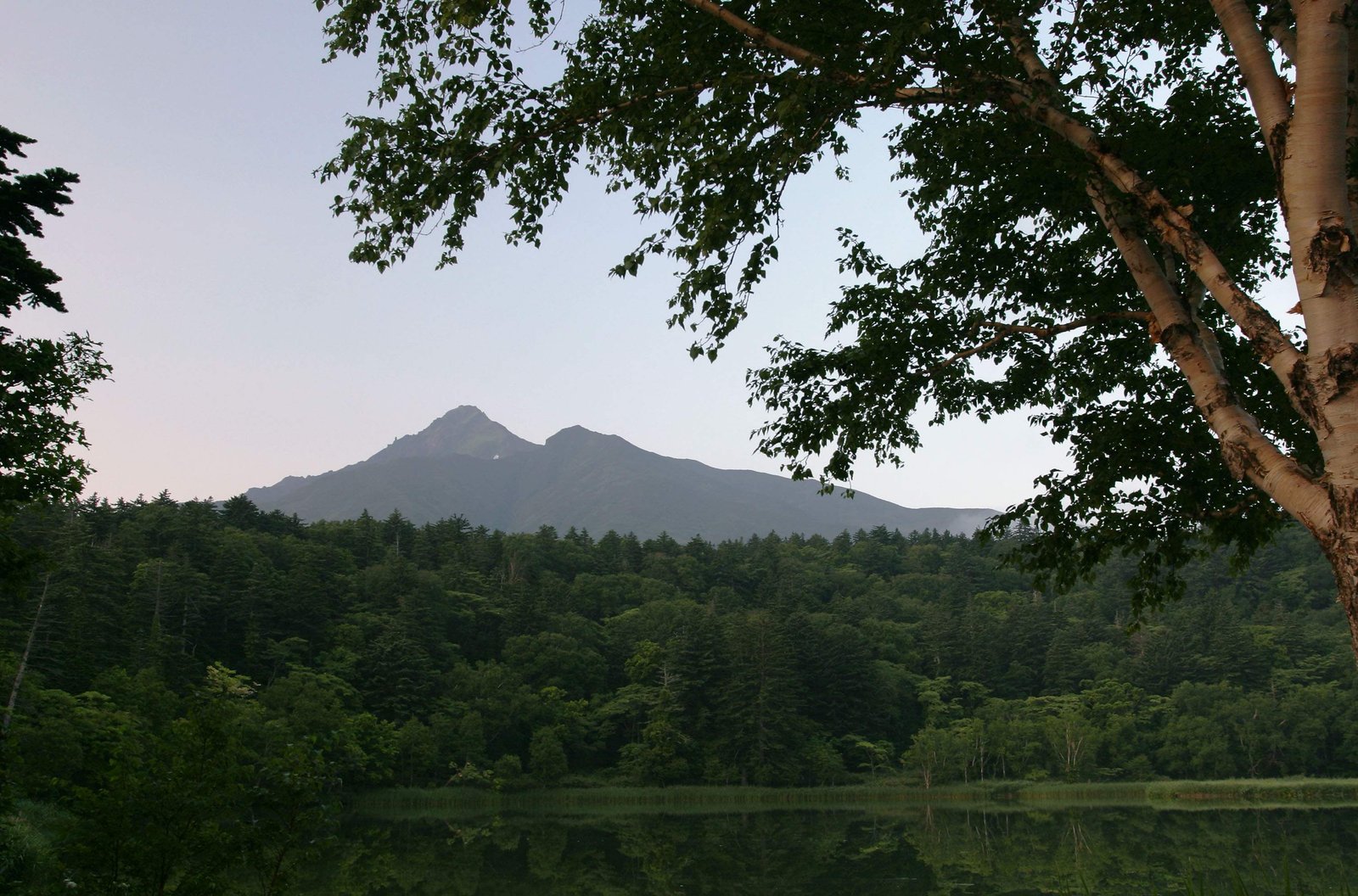 photo,material,free,landscape,picture,stock photo,Creative Commons,Mt. Rishiri-fuji, tree, mountain, sky, HimenumPond