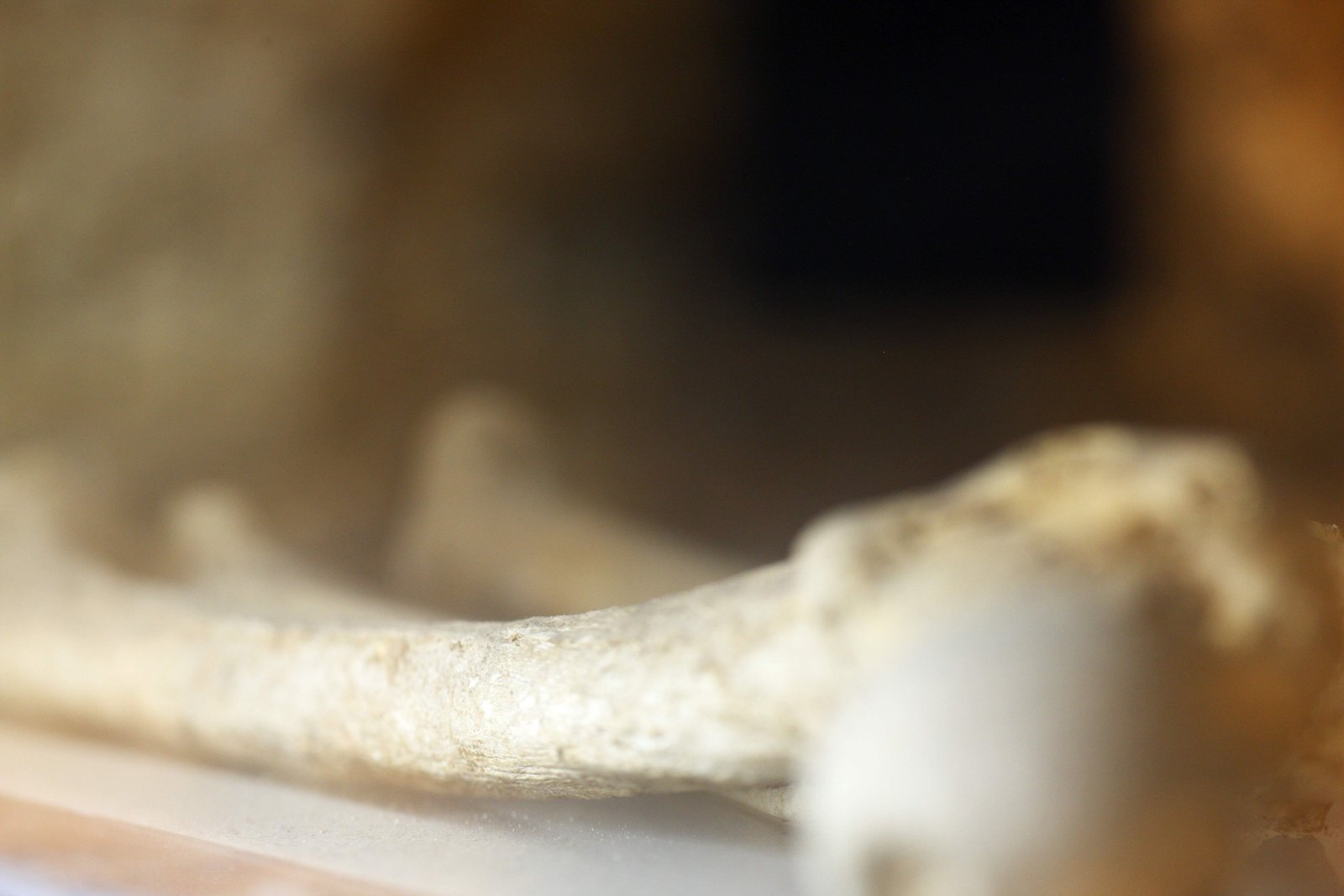 �ʐ^,�f��,����,�t���[,�t�H�g,�N���G�C�e�B�u�E�R�����Y,���i,�ǎ�,��ڍ�, ���, �L���X�g��, , 