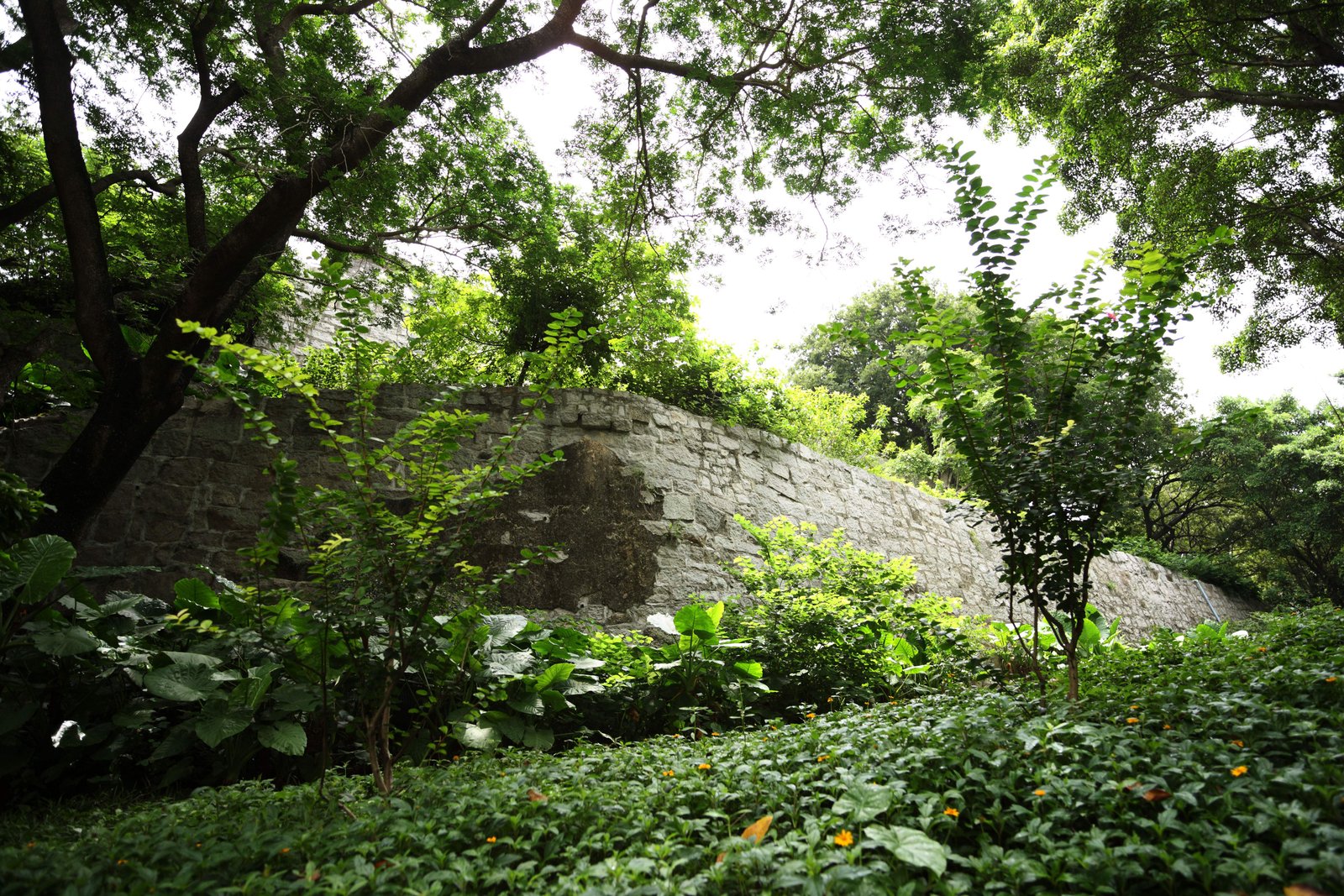 �ʐ^,�f��,����,�t���[,�t�H�g,�N���G�C�e�B�u�E�R�����Y,���i,�ǎ�,�����e�̍�, Monte Fortress, �v��, �R��, 