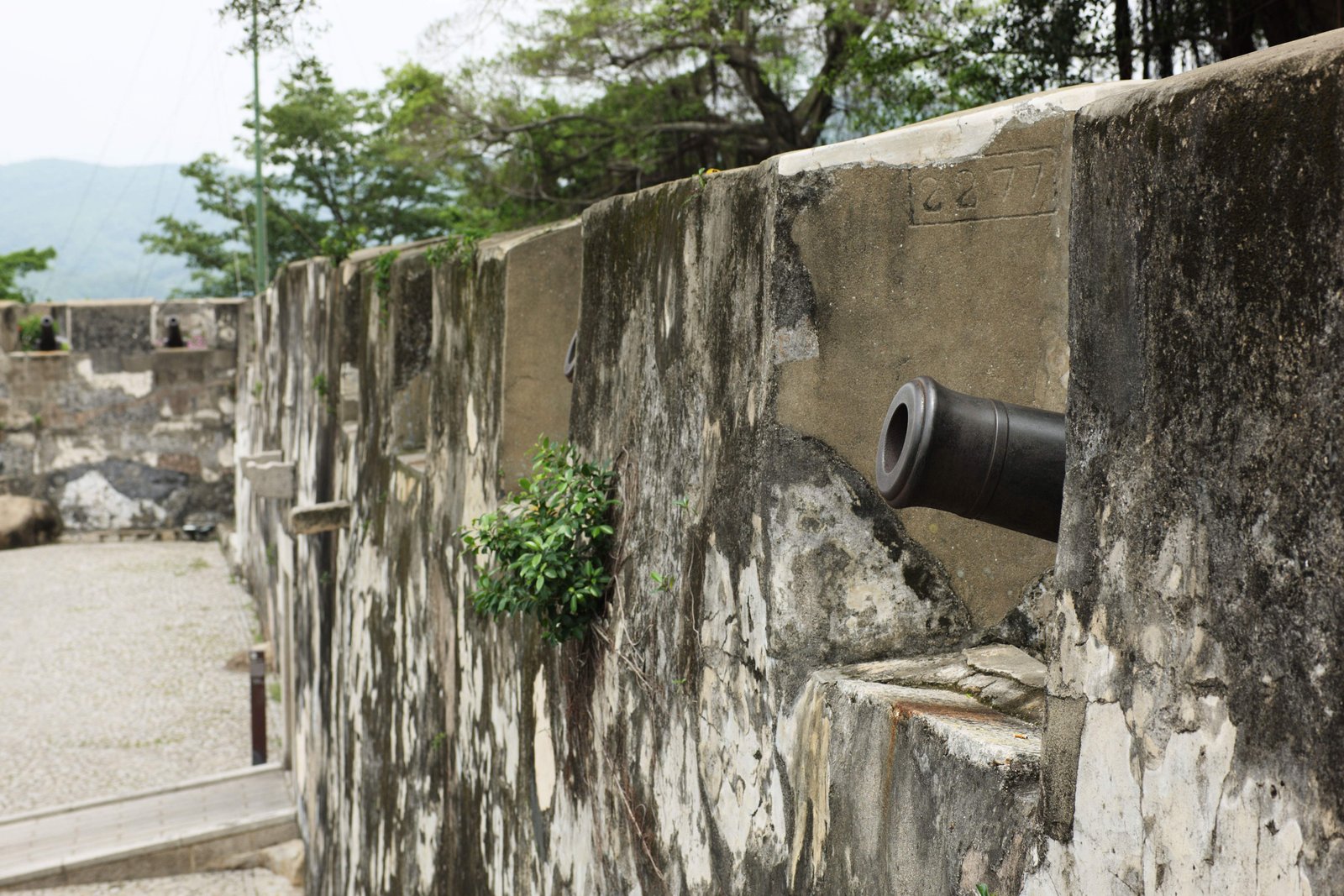 �ʐ^,�f��,����,�t���[,�t�H�g,�N���G�C�e�B�u�E�R�����Y,���i,�ǎ�,�����e�̍�, Monte Fortress, �v��, �R��, 