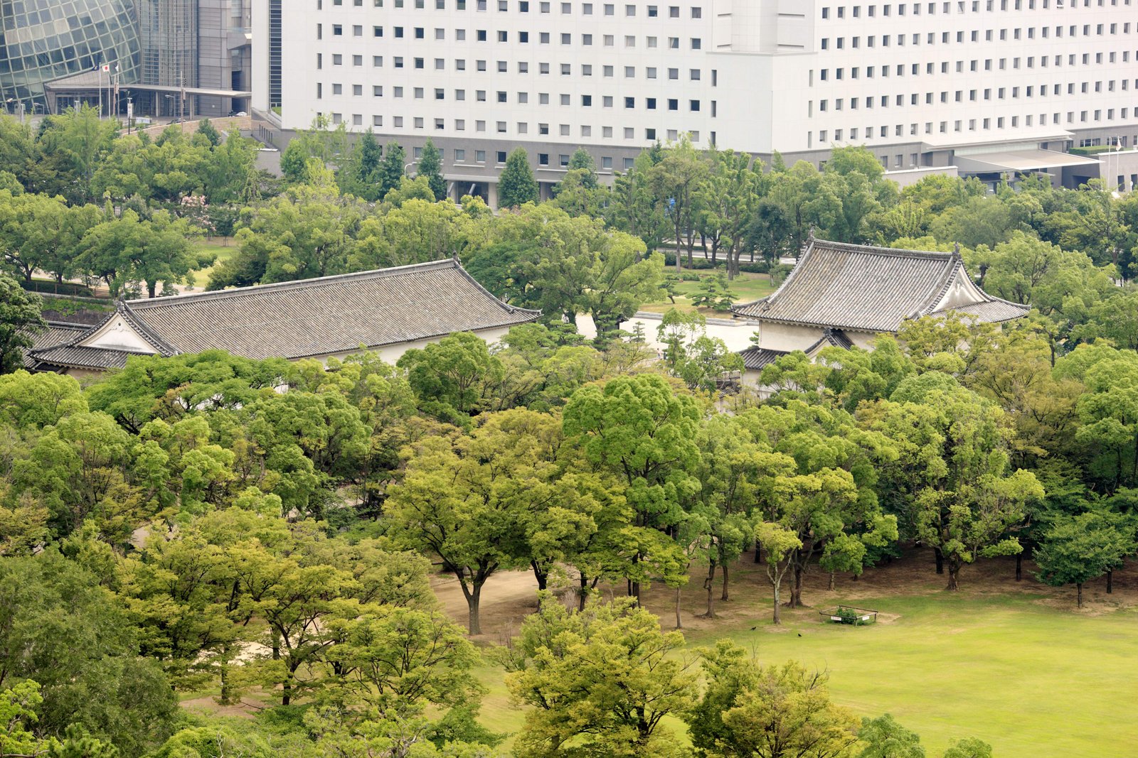 photo,material,free,landscape,picture,stock photo,Creative Commons,Tower of Osaka Castle, , , ,