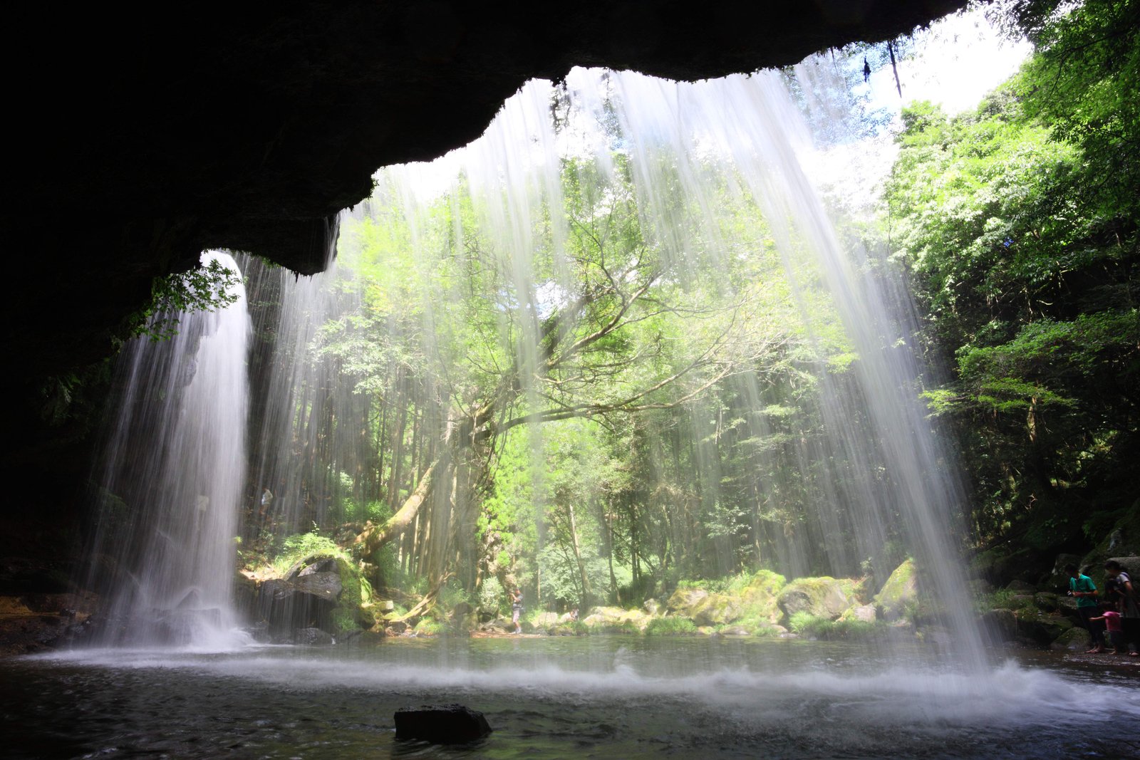 �ʐ^,�f��,����,�t���[,�t�H�g,�N���G�C�e�B�u�E�R�����Y,���i,�ǎ�,�烖��, , , , 