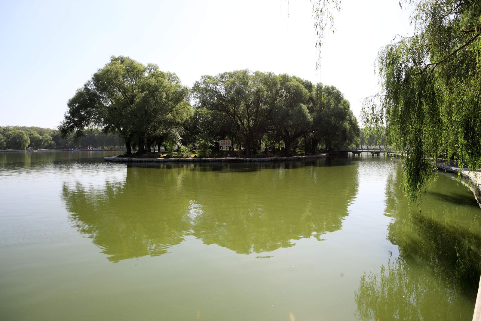 �ʐ^,�f��,����,�t���[,�t�H�g,�N���G�C�e�B�u�E�R�����Y,���i,�ǎ�,�k�ˌ���, , , , 