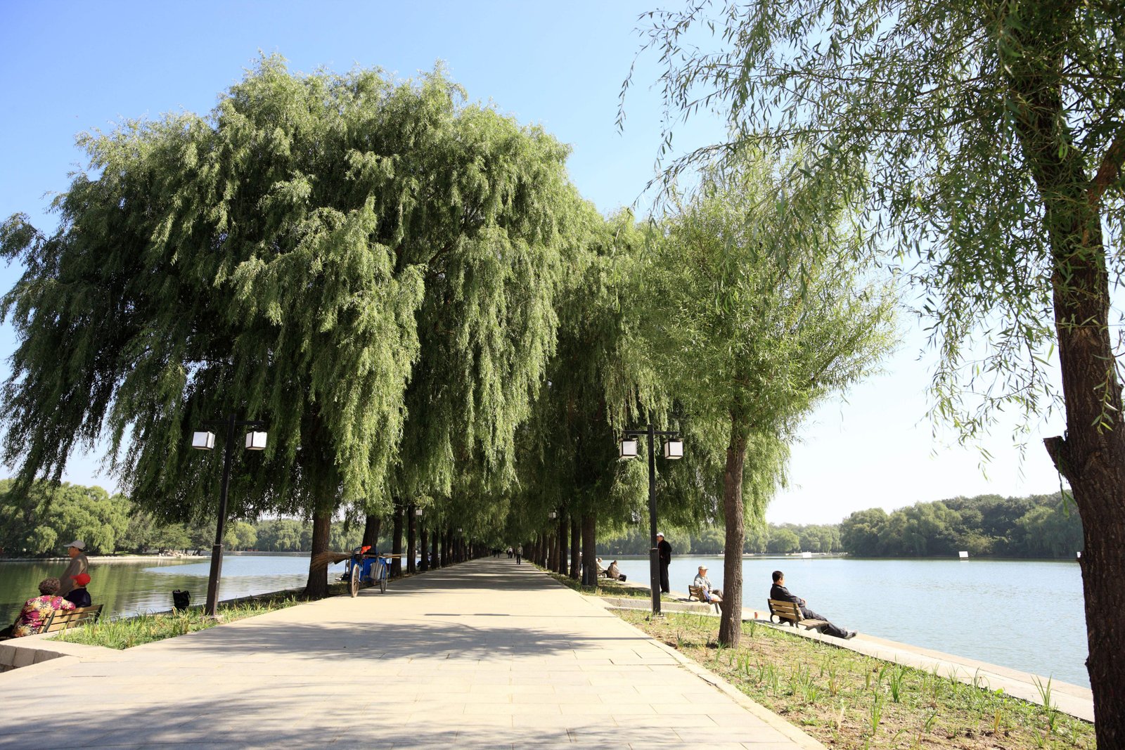 �ʐ^,�f��,����,�t���[,�t�H�g,�N���G�C�e�B�u�E�R�����Y,���i,�ǎ�,�k�ˌ���, , , , 