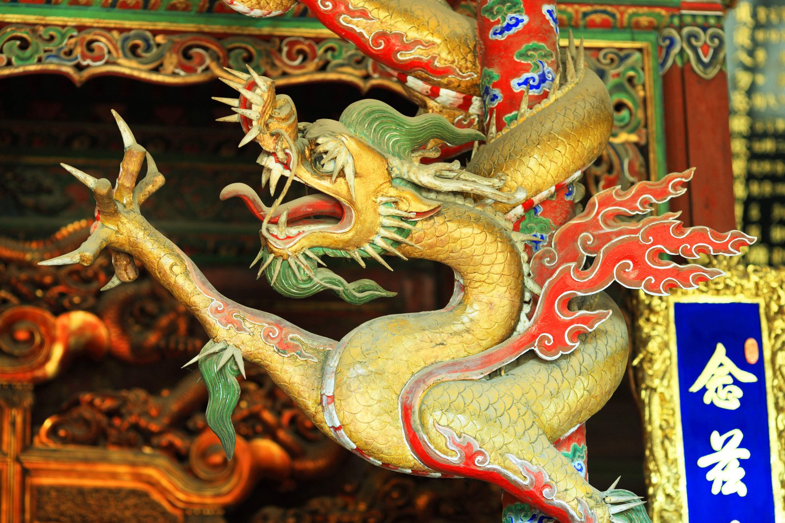 �ʐ^,�f��,����,�t���[,�t�H�g,�N���G�C�e�B�u�E�R�����Y,���i,�ǎ�,�c�z�̋{�@�����a, , , , 