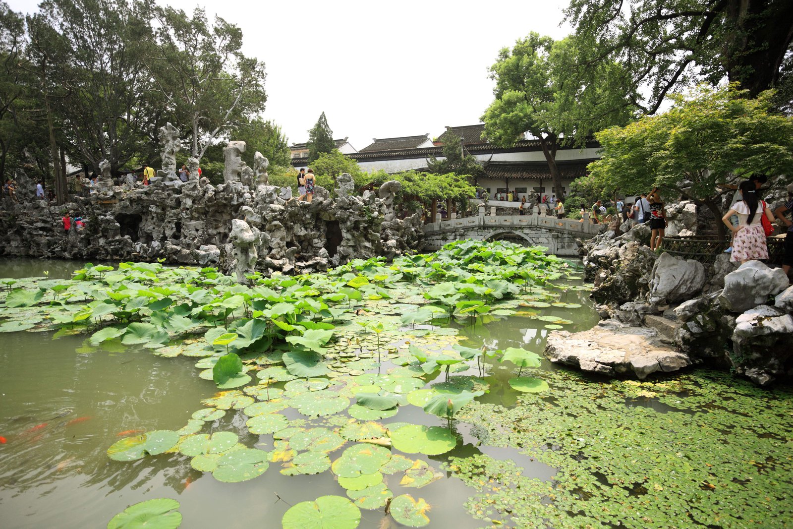 photo,material,free,landscape,picture,stock photo,Creative Commons,Lingering Garden pond, , , ,