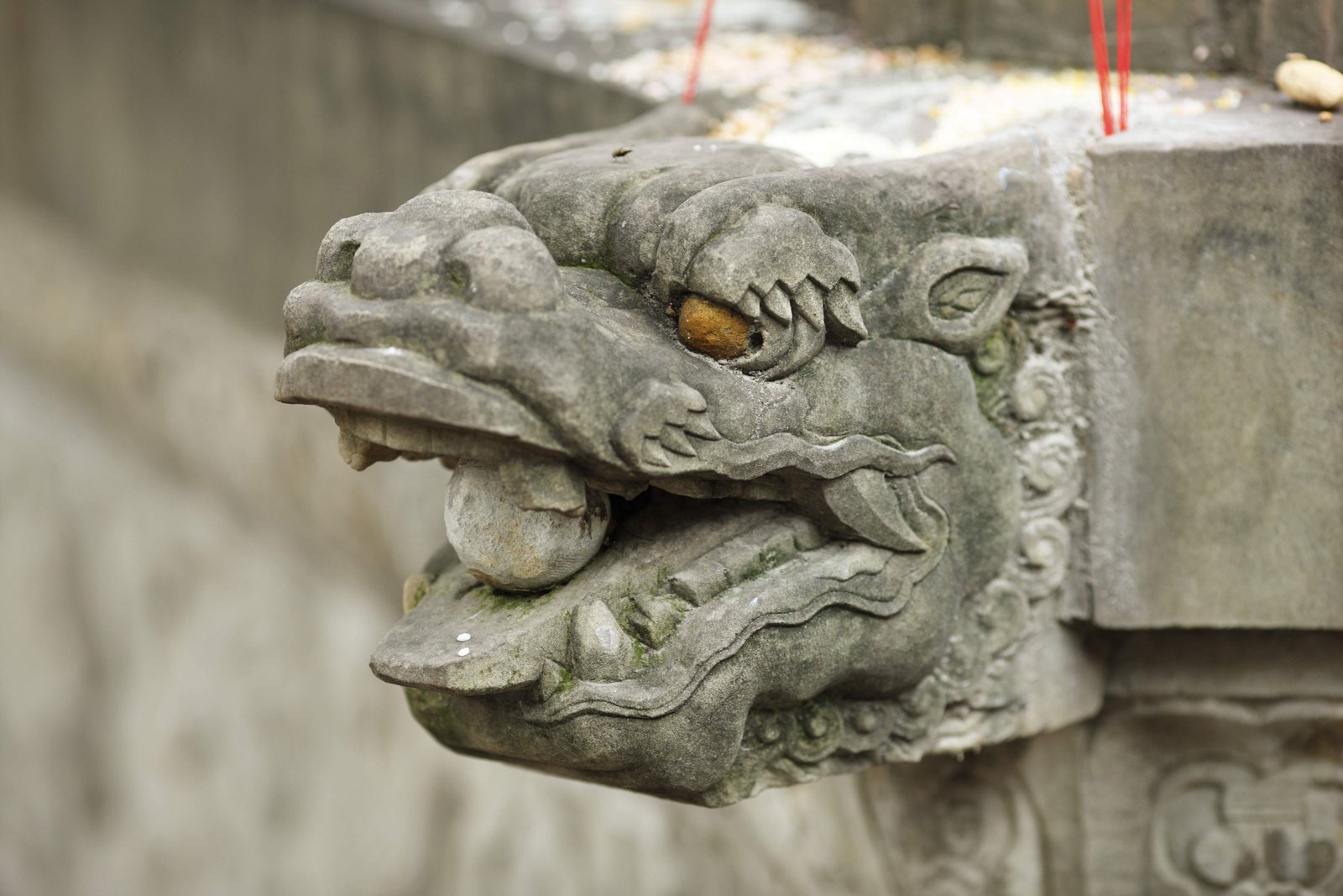 photo,material,free,landscape,picture,stock photo,Creative Commons,Wenshu Institute, , , ,