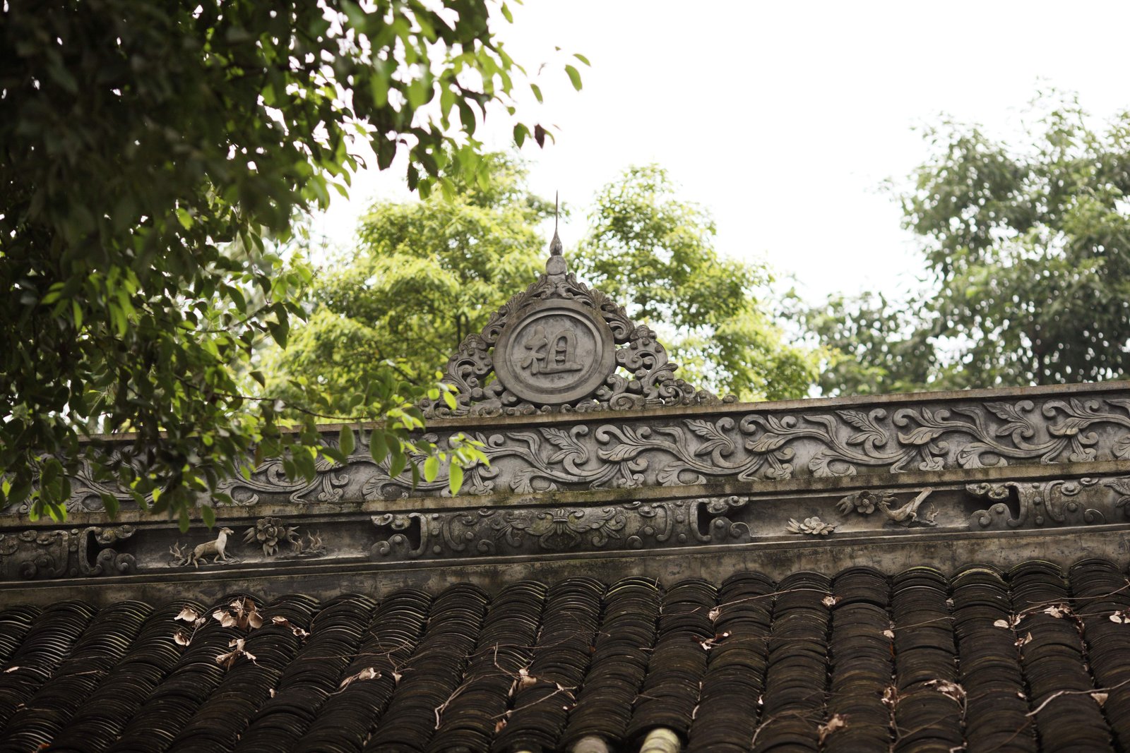photo,material,free,landscape,picture,stock photo,Creative Commons,Wenshu Institute, , , ,
