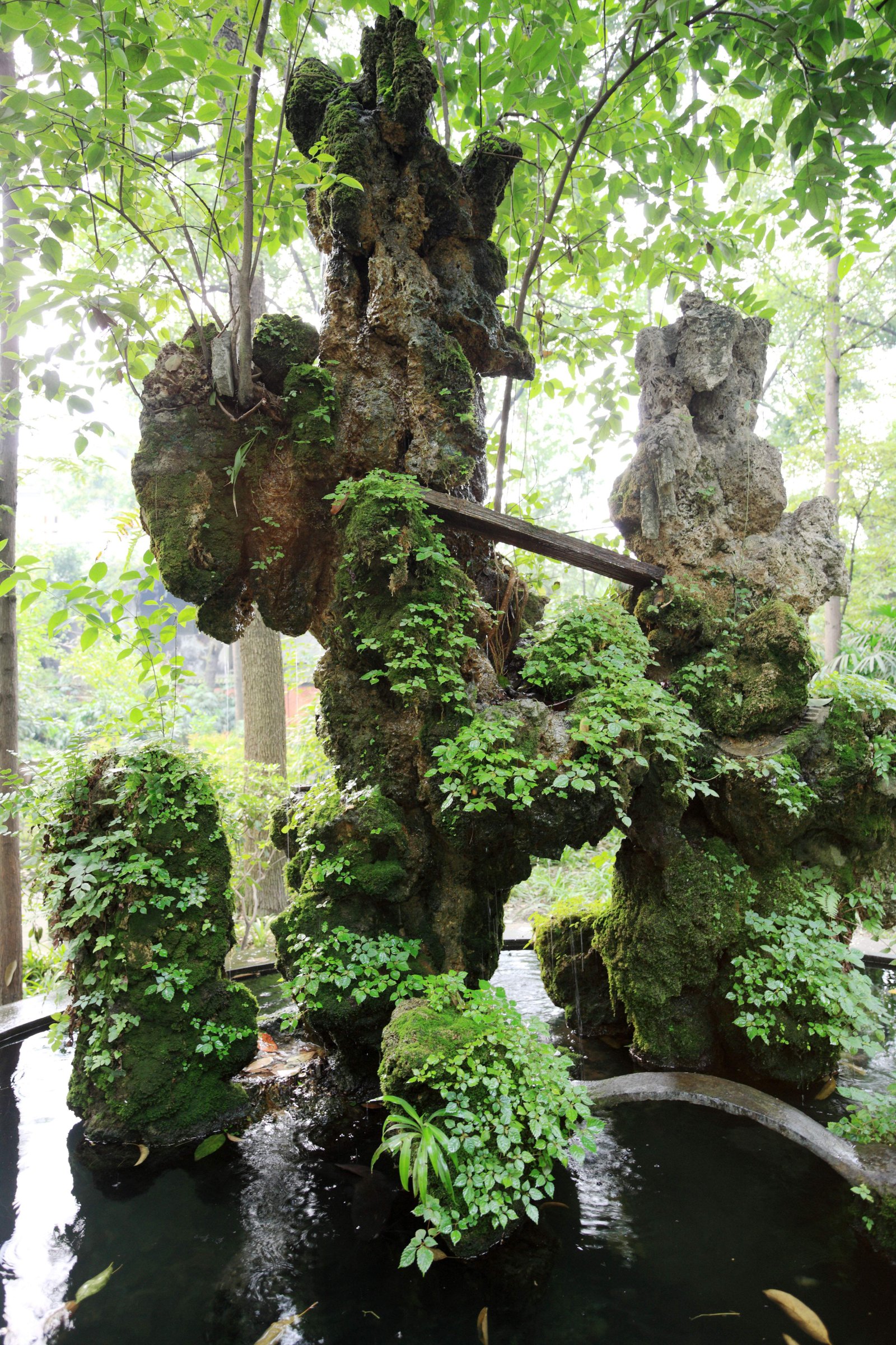 �ʐ^,�f��,����,�t���[,�t�H�g,�N���G�C�e�B�u�E�R�����Y,���i,�ǎ�,����@, , , , 