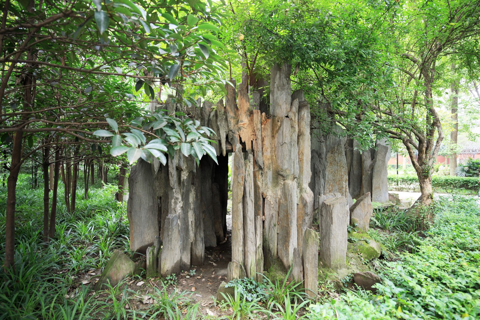 �ʐ^,�f��,����,�t���[,�t�H�g,�N���G�C�e�B�u�E�R�����Y,���i,�ǎ�,����@, , , , 