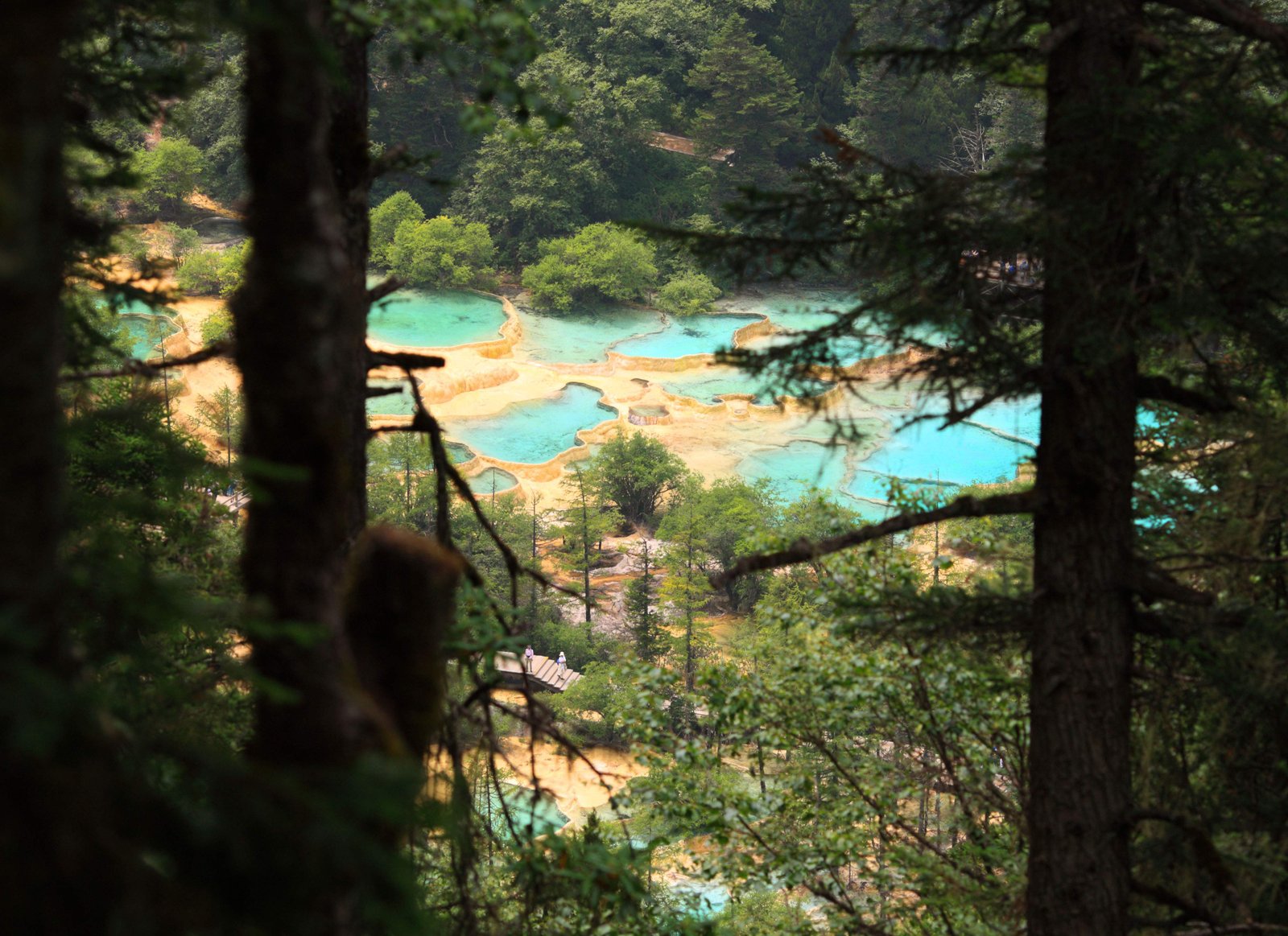 �ʐ^,�f��,����,�t���[,�t�H�g,�N���G�C�e�B�u�E�R�����Y,���i,�ǎ�,�����@�����ʒr, , , , 