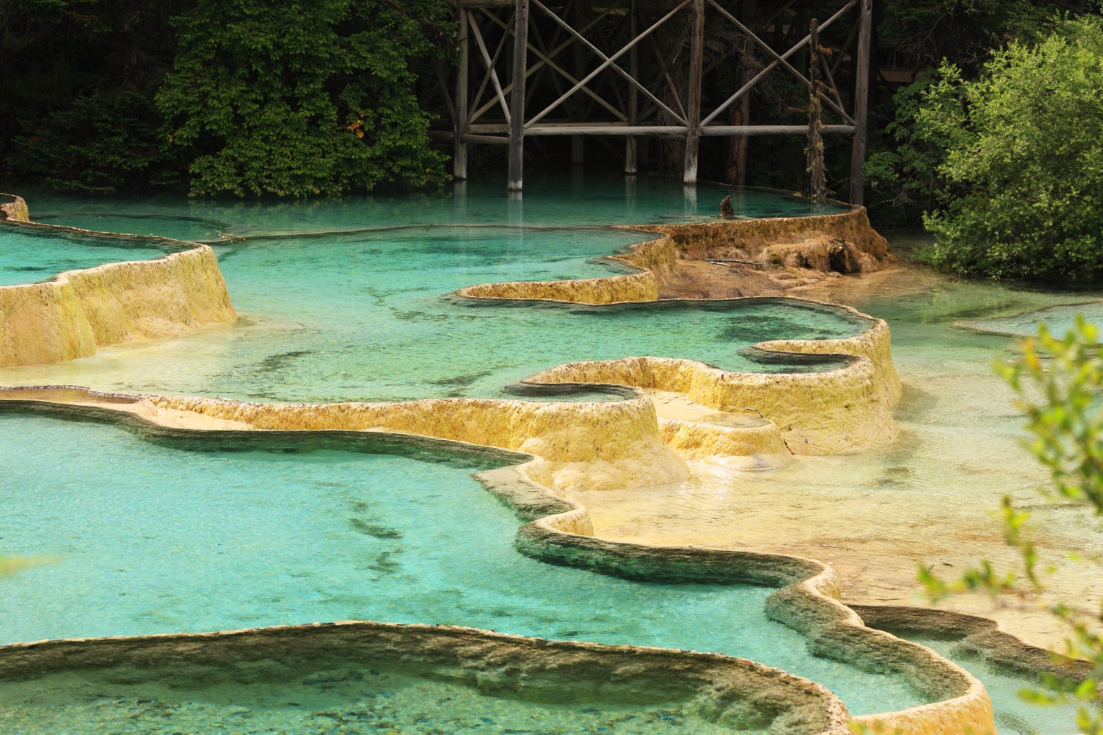 �ʐ^,�f��,����,�t���[,�t�H�g,�N���G�C�e�B�u�E�R�����Y,���i,�ǎ�,�����@�����ʒr, , , , 