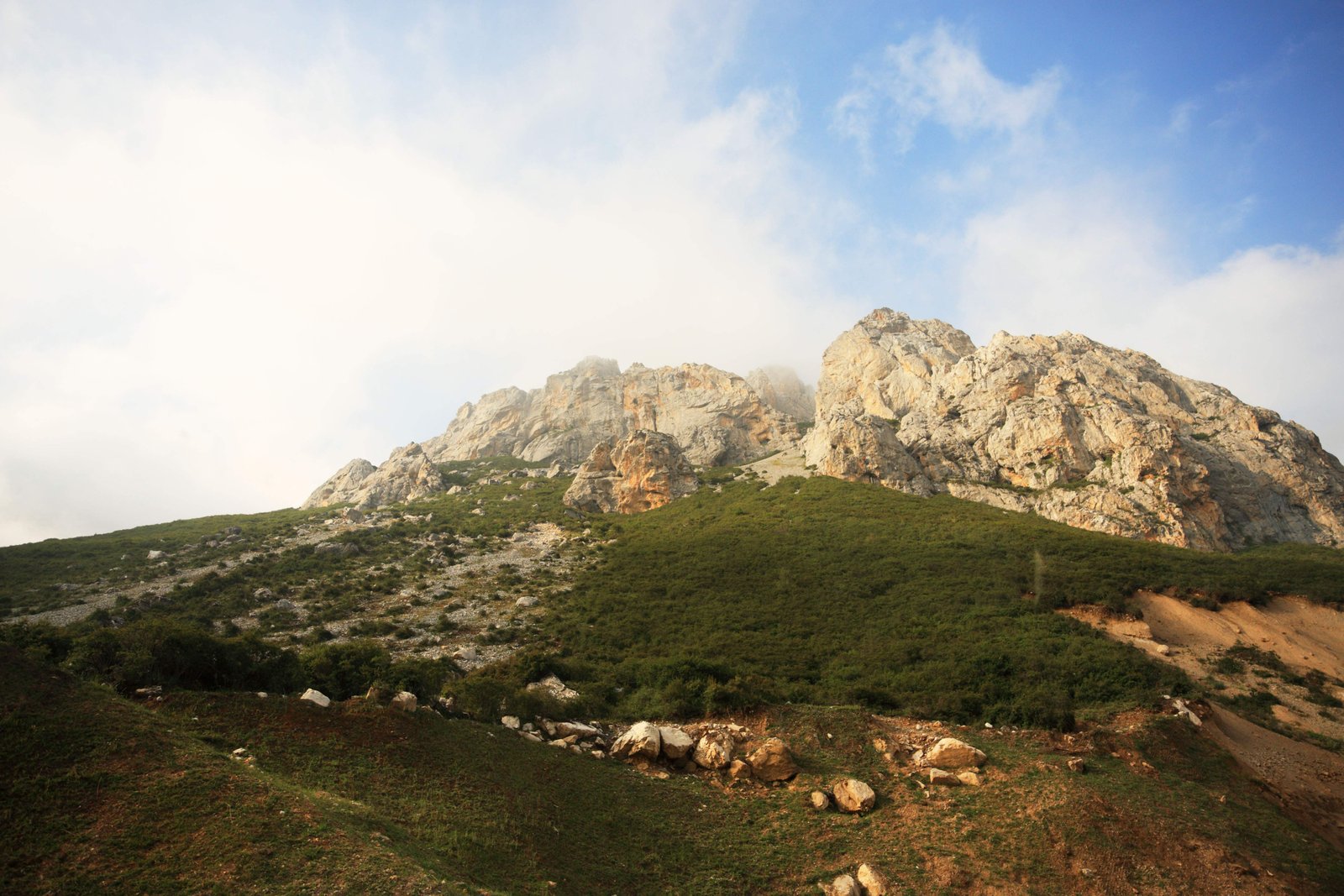 �ʐ^,�f��,����,�t���[,�t�H�g,�N���G�C�e�B�u�E�R�����Y,���i,�ǎ�,�R�x�n��, , , , 