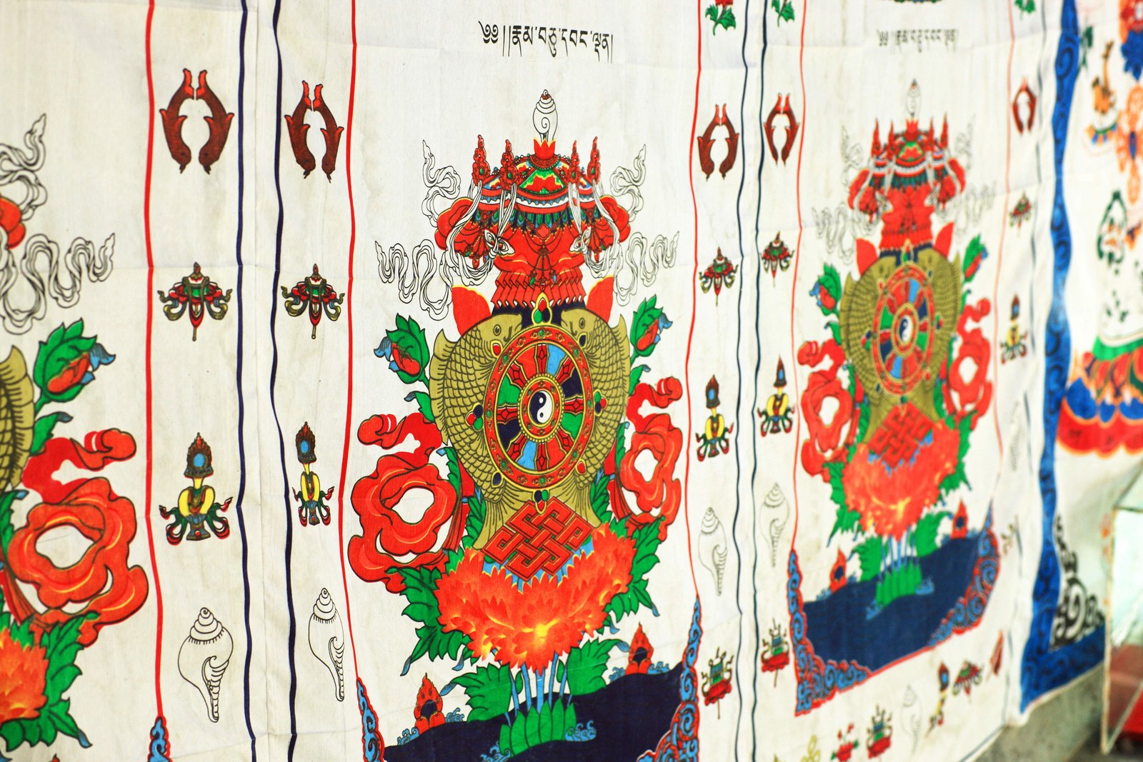 �ʐ^,�f��,����,�t���[,�t�H�g,�N���G�C�e�B�u�E�R�����Y,���i,�ǎ�,��ˍa�@������, , , , 