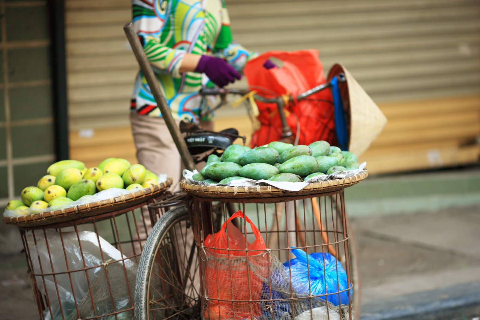 �ʐ^,�f��,����,�t���[,�t�H�g,�N���G�C�e�B�u�E�R�����Y,���i,�ǎ�,�n�m�C�̉ʕ�����, , , , 