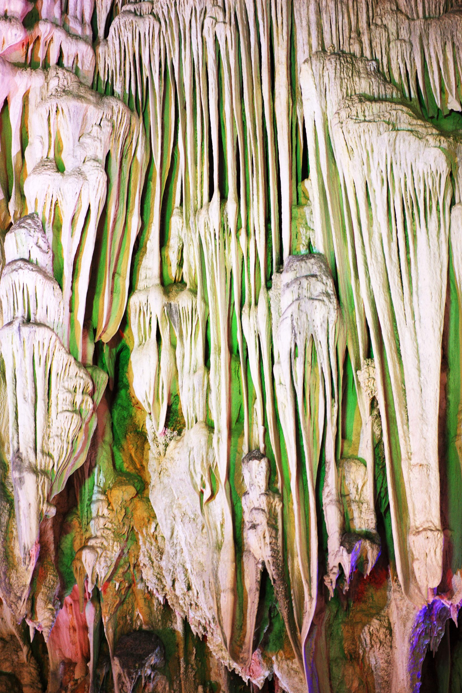 �ʐ^,�f��,����,�t���[,�t�H�g,�N���G�C�e�B�u�E�R�����Y,���i,�ǎ�,�n�����p�@�e�B�G���N���ߓ���, Dong Thien Cung, , , 