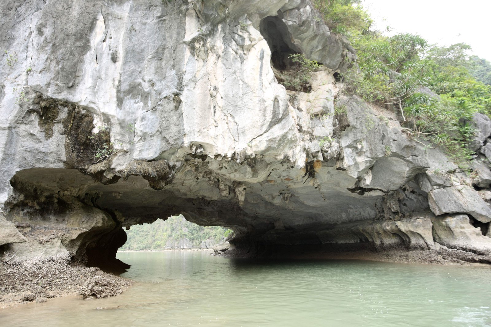 photo,material,free,landscape,picture,stock photo,Creative Commons,Halong Bay, , , ,