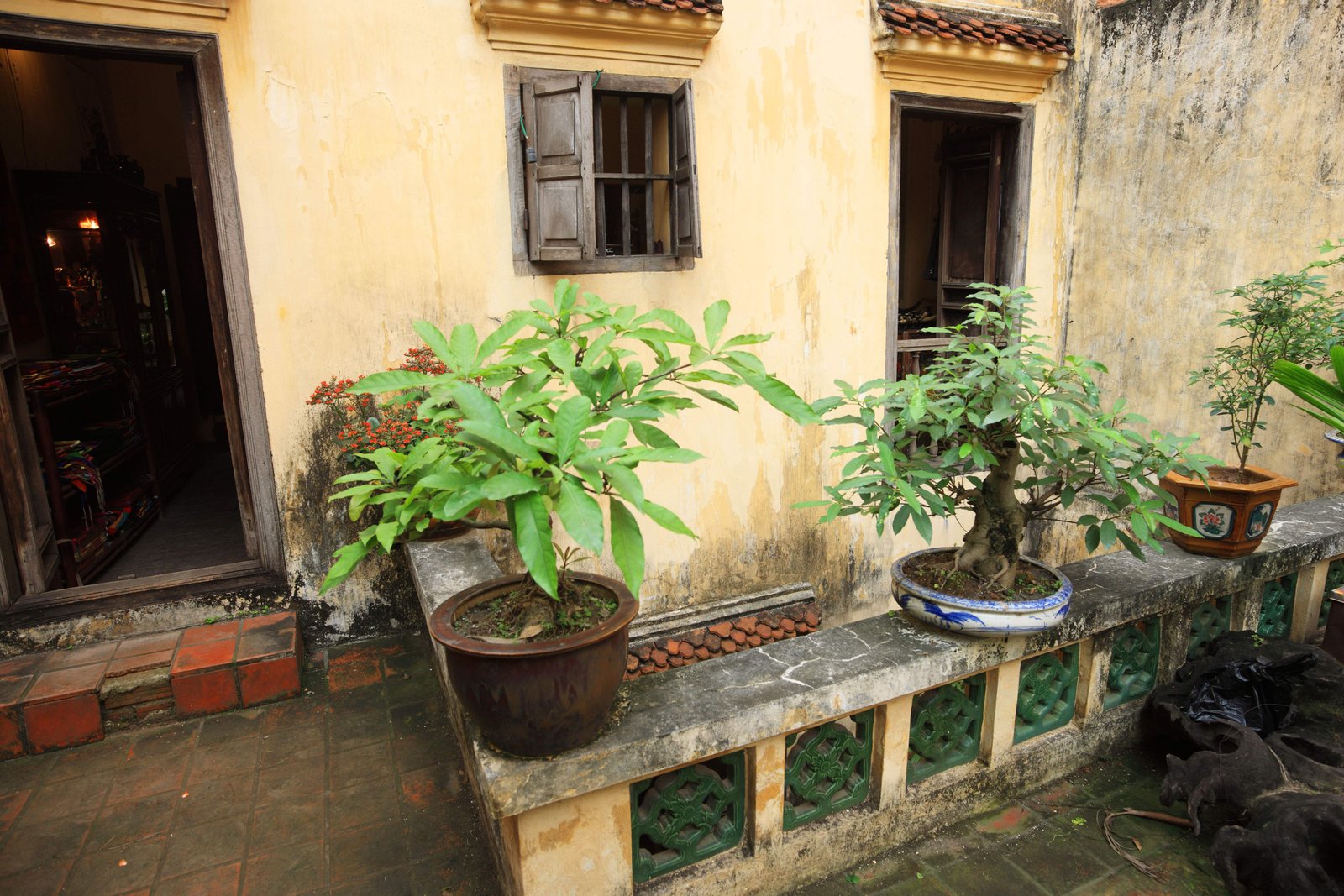 �ʐ^,�f��,����,�t���[,�t�H�g,�N���G�C�e�B�u�E�R�����Y,���i,�ǎ�,Ma May87�Ԃ̉�, , , , 