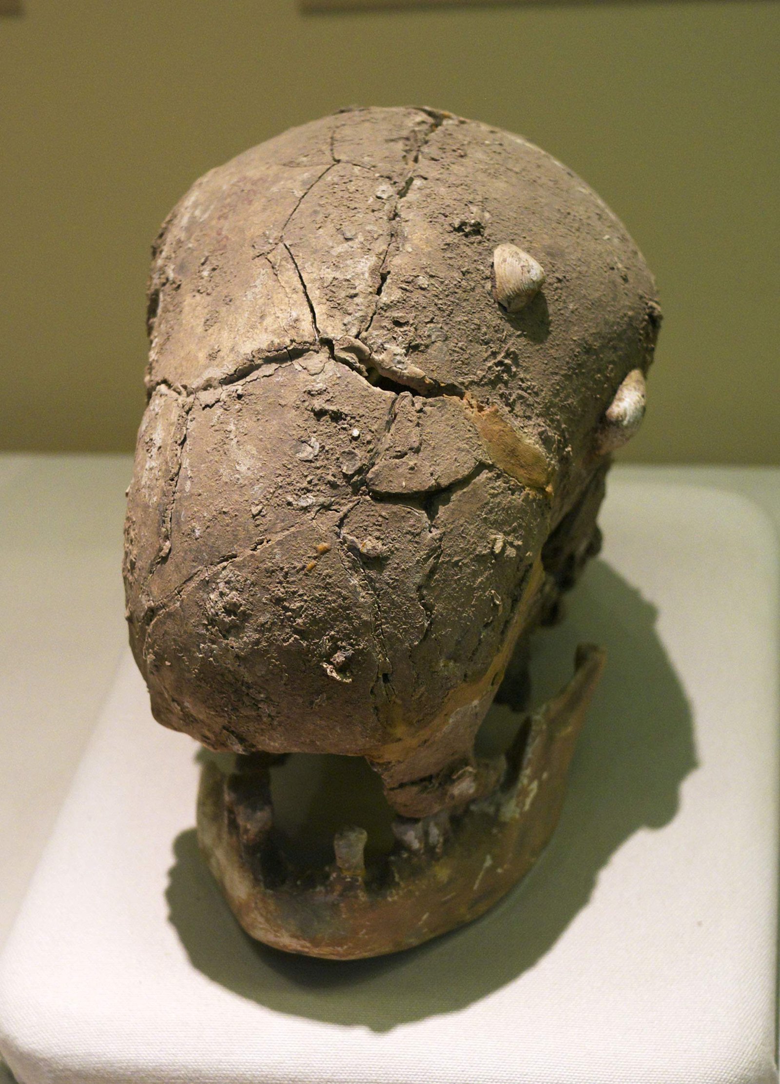 �ʐ^,�f��,����,�t���[,�t�H�g,�N���G�C�e�B�u�E�R�����Y,���i,�ǎ�,���W��, , , , 